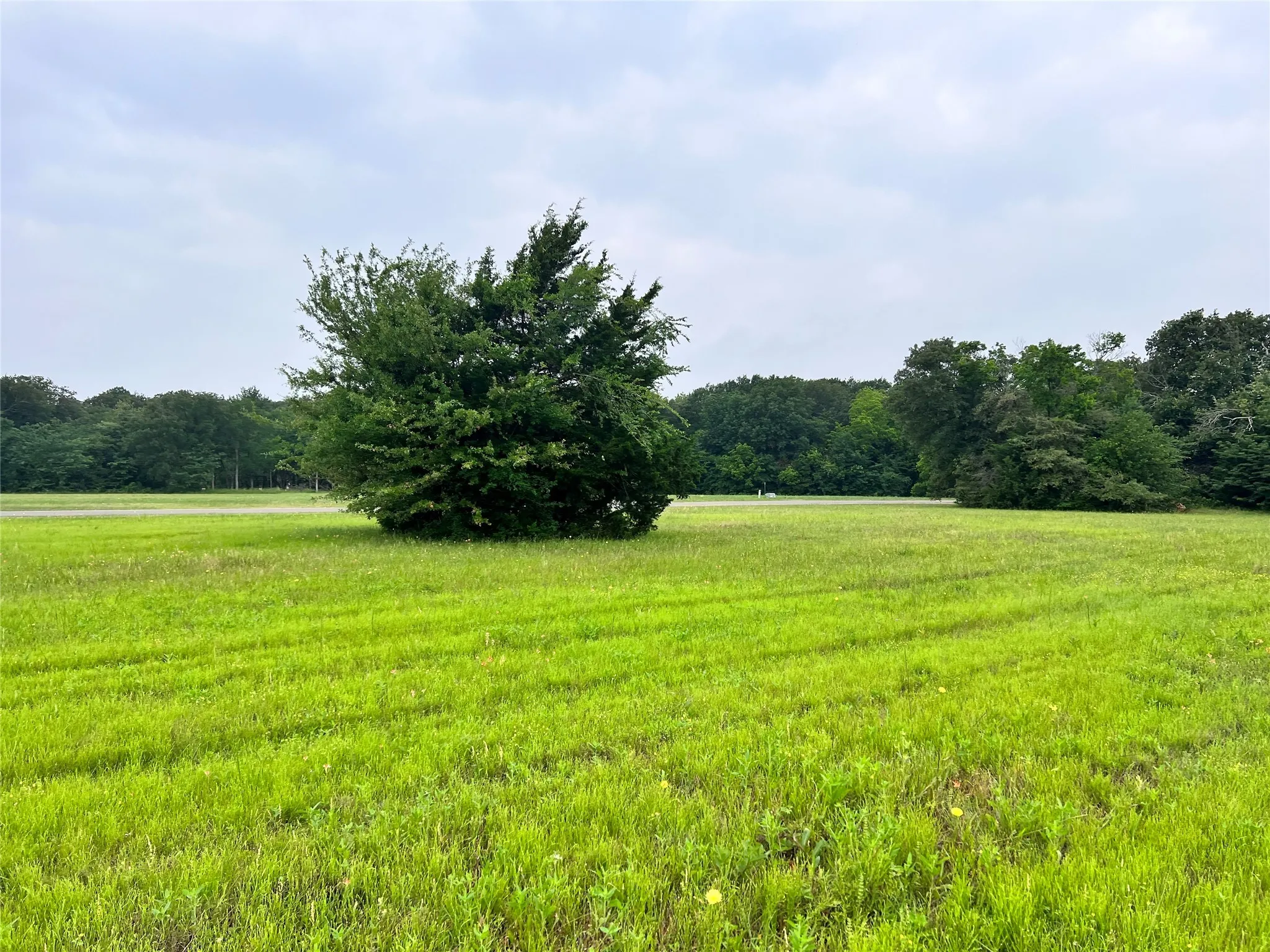 Unimproved Land For Sale in Navarro County , Lot 392 Polaris Drive, Corsicana, Texas 75109, 0, 0, Garage spaces, 0 Sqft, built in 0, Price $70,000, mls#21142536, Real Estate Agent in Corsicana, Homes For Sale in Navarro county, Homes For Sale in Corsicana, Realtor in Corsicana Texas, Real Estate Brokerage Independent Realty Texas, Luminita Cordes Realtor