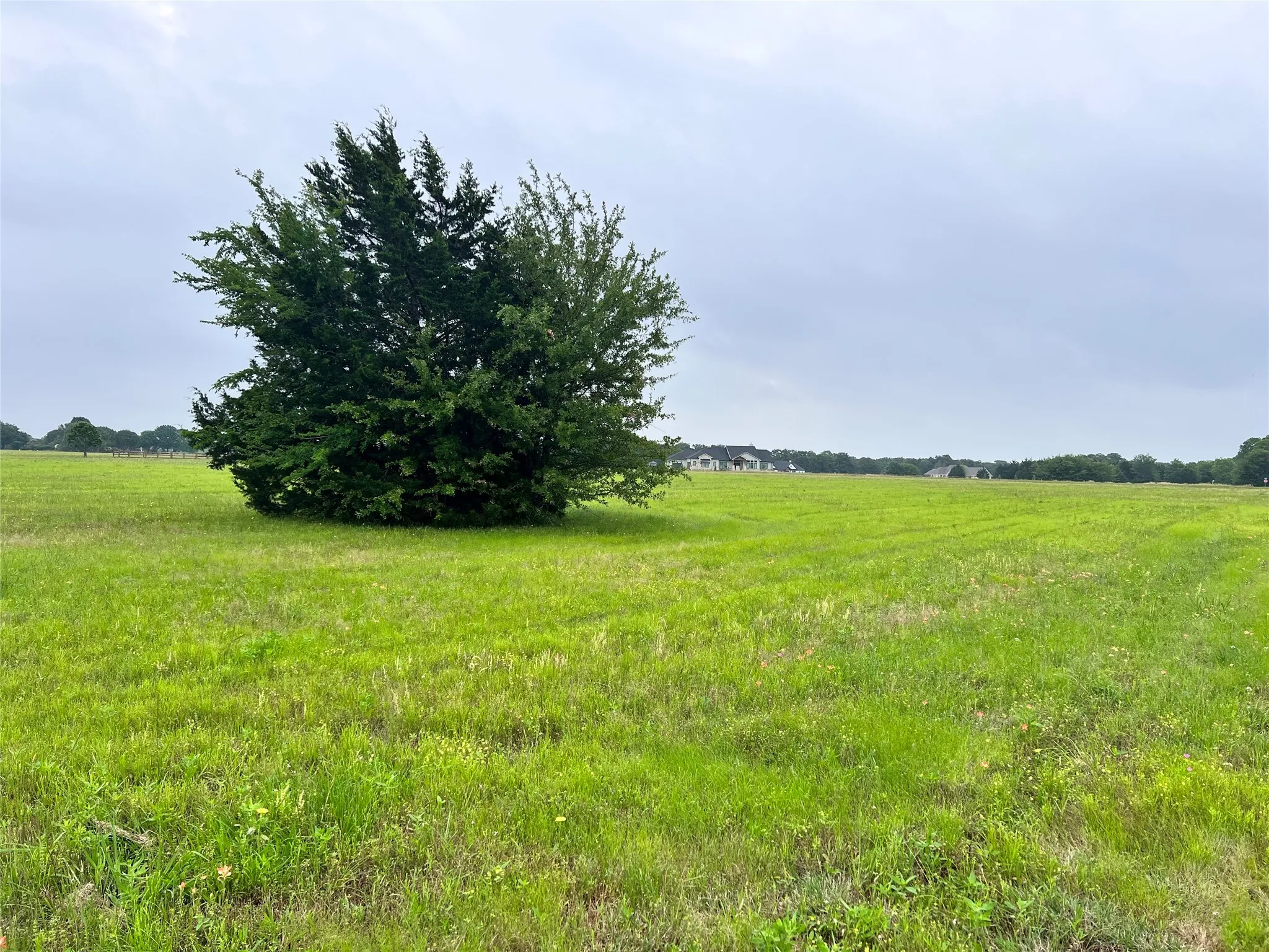 Unimproved Land For Sale in Navarro County , Lot 392 Polaris Drive, Corsicana, Texas 75109, 0, 0, Garage spaces, 0 Sqft, built in 0, Price $70,000, mls#21142536, Real Estate Agent in Corsicana, Homes For Sale in Navarro county, Homes For Sale in Corsicana, Realtor in Corsicana Texas, Real Estate Brokerage Independent Realty Texas, Luminita Cordes Realtor