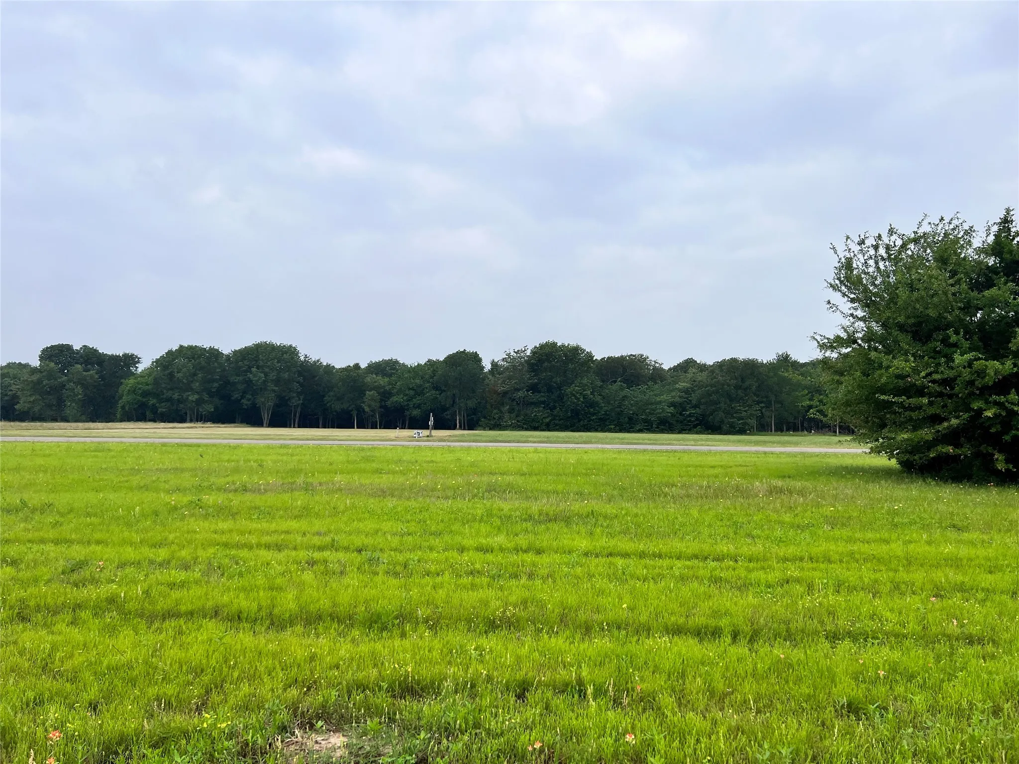 Unimproved Land For Sale in Navarro County , Lot 392 Polaris Drive, Corsicana, Texas 75109, 0, 0, Garage spaces, 0 Sqft, built in 0, Price $70,000, mls#21142536, Real Estate Agent in Corsicana, Homes For Sale in Navarro county, Homes For Sale in Corsicana, Realtor in Corsicana Texas, Real Estate Brokerage Independent Realty Texas, Luminita Cordes Realtor