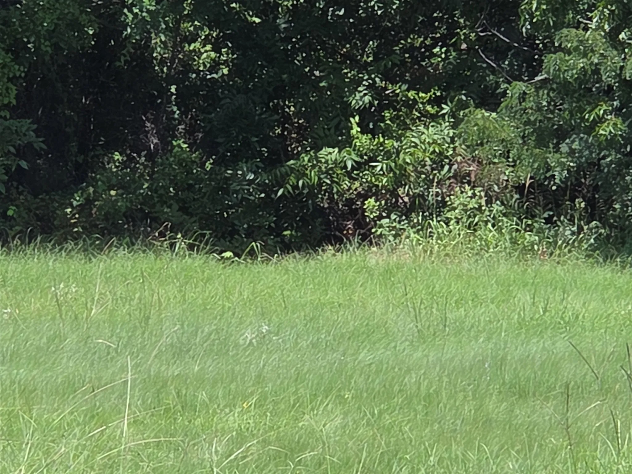 Unimproved Land For Sale in Navarro County , Lot 26 Clubhouse Drive, Corsicana, Texas 75109, 0, 0, Garage spaces, 0 Sqft, built in 0, Price $65,000, mls#21142593, Real Estate Agent in Corsicana, Homes For Sale in Navarro county, Homes For Sale in Corsicana, Realtor in Corsicana Texas, Real Estate Brokerage Independent Realty Texas, Luminita Cordes Realtor