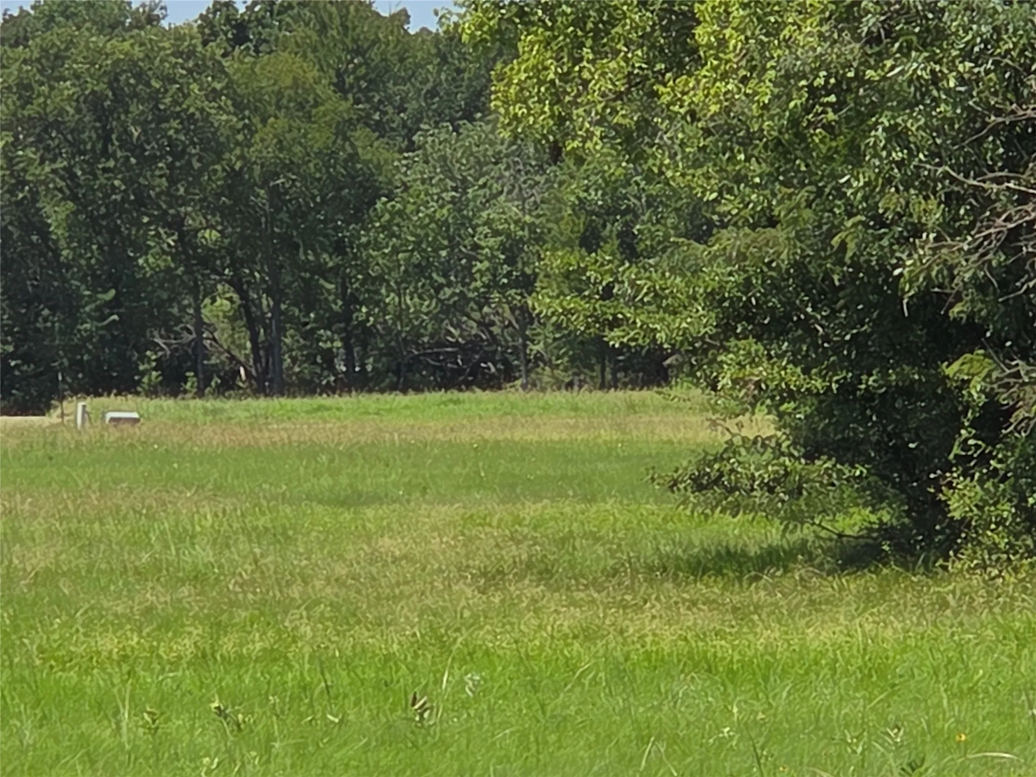 Unimproved Land For Sale in Navarro County , Lot 26 Clubhouse Drive, Corsicana, Texas 75109, 0, 0, Garage spaces, 0 Sqft, built in 0, Price $65,000, mls#21142593, Real Estate Agent in Corsicana, Homes For Sale in Navarro county, Homes For Sale in Corsicana, Realtor in Corsicana Texas, Real Estate Brokerage Independent Realty Texas, Luminita Cordes Realtor