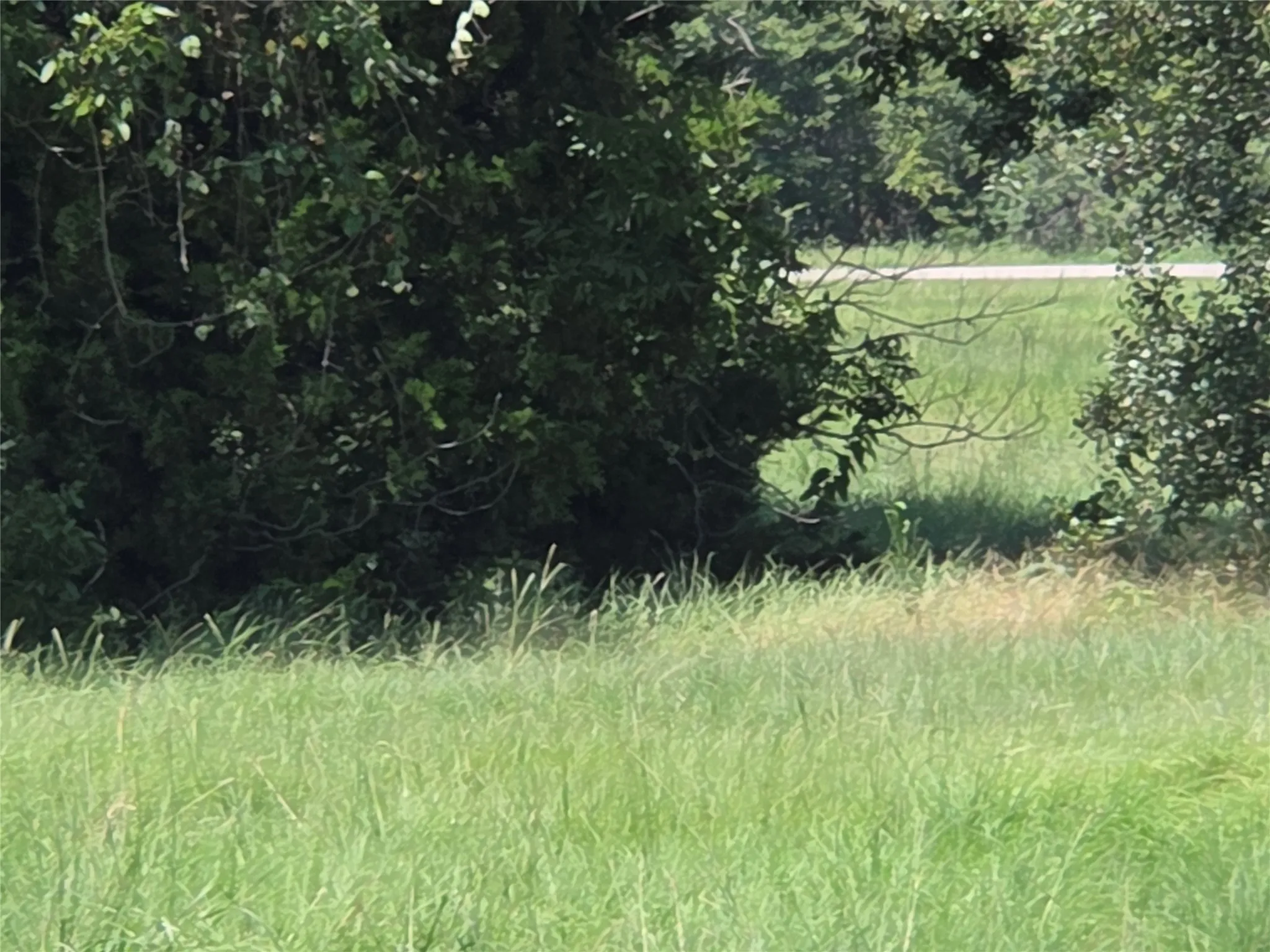 Unimproved Land For Sale in Navarro County , Lot 26 Clubhouse Drive, Corsicana, Texas 75109, 0, 0, Garage spaces, 0 Sqft, built in 0, Price $65,000, mls#21142593, Real Estate Agent in Corsicana, Homes For Sale in Navarro county, Homes For Sale in Corsicana, Realtor in Corsicana Texas, Real Estate Brokerage Independent Realty Texas, Luminita Cordes Realtor