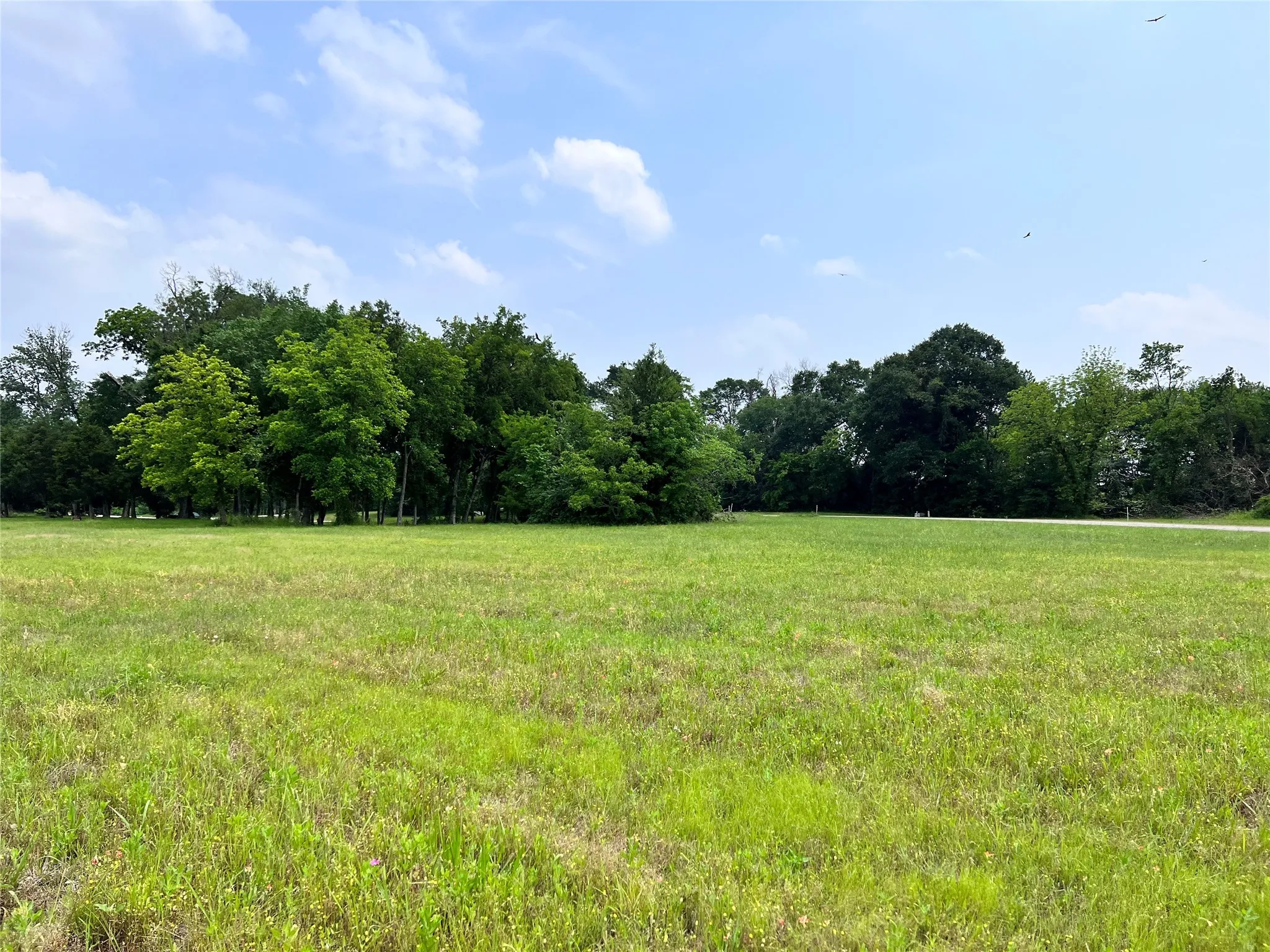 Unimproved Land For Sale in Navarro County , Lot 26 Clubhouse Drive, Corsicana, Texas 75109, 0, 0, Garage spaces, 0 Sqft, built in 0, Price $65,000, mls#21142593, Real Estate Agent in Corsicana, Homes For Sale in Navarro county, Homes For Sale in Corsicana, Realtor in Corsicana Texas, Real Estate Brokerage Independent Realty Texas, Luminita Cordes Realtor