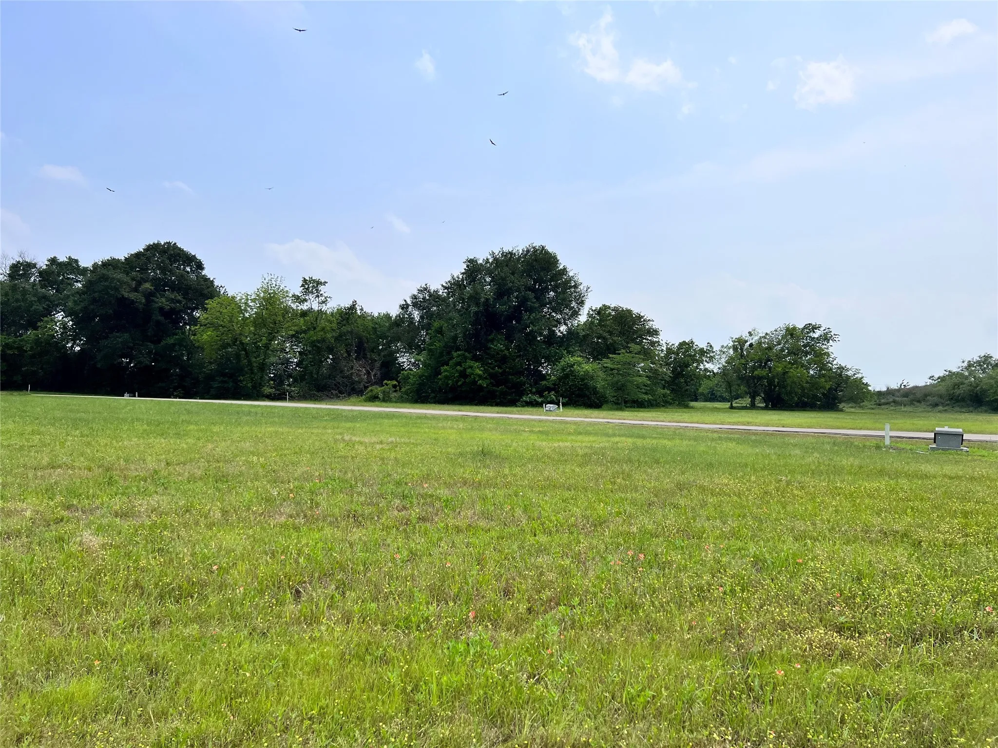 Unimproved Land For Sale in Navarro County , Lot 26 Clubhouse Drive, Corsicana, Texas 75109, 0, 0, Garage spaces, 0 Sqft, built in 0, Price $65,000, mls#21142593, Real Estate Agent in Corsicana, Homes For Sale in Navarro county, Homes For Sale in Corsicana, Realtor in Corsicana Texas, Real Estate Brokerage Independent Realty Texas, Luminita Cordes Realtor