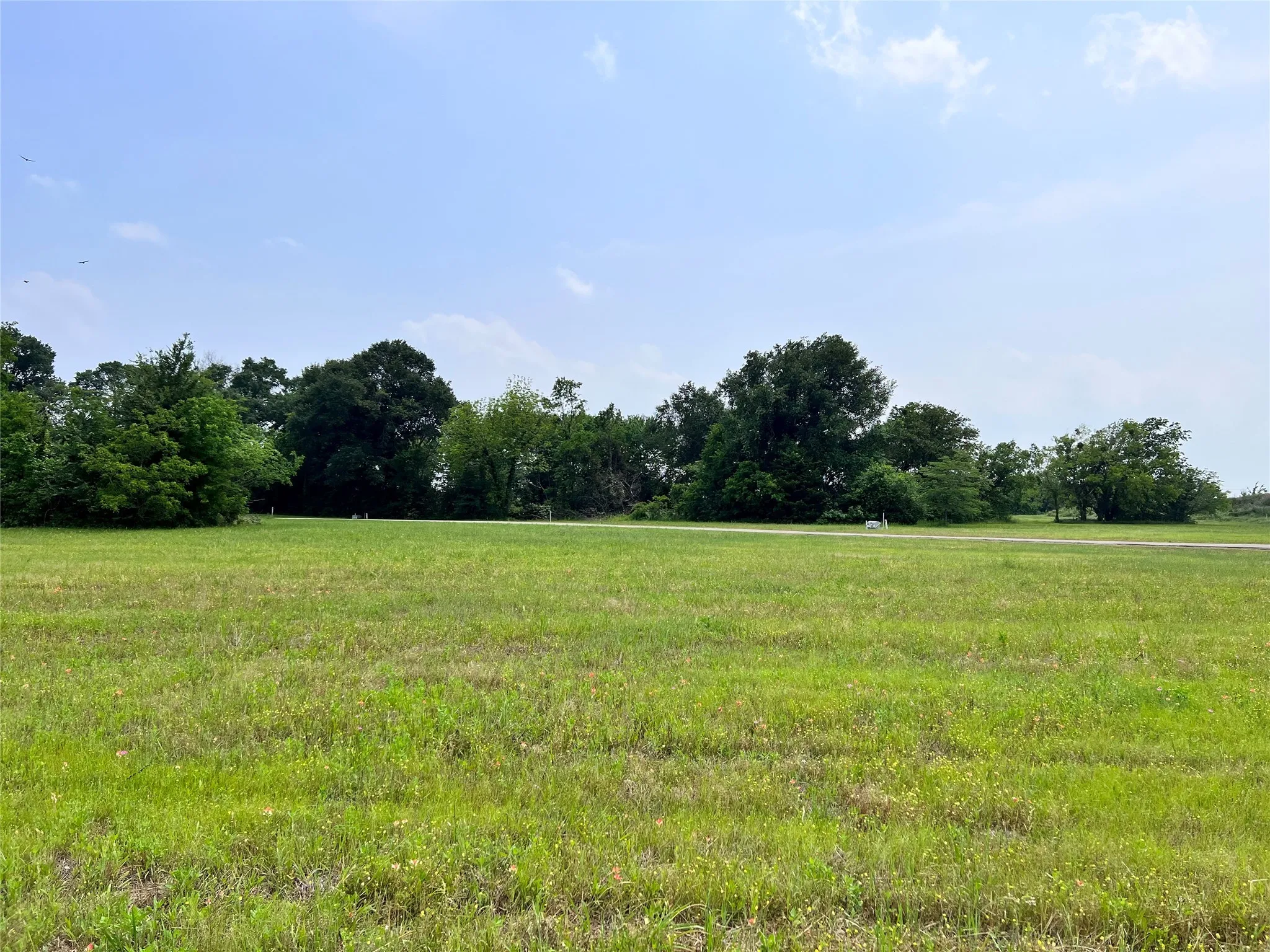 Unimproved Land For Sale in Navarro County , Lot 26 Clubhouse Drive, Corsicana, Texas 75109, 0, 0, Garage spaces, 0 Sqft, built in 0, Price $65,000, mls#21142593, Real Estate Agent in Corsicana, Homes For Sale in Navarro county, Homes For Sale in Corsicana, Realtor in Corsicana Texas, Real Estate Brokerage Independent Realty Texas, Luminita Cordes Realtor
