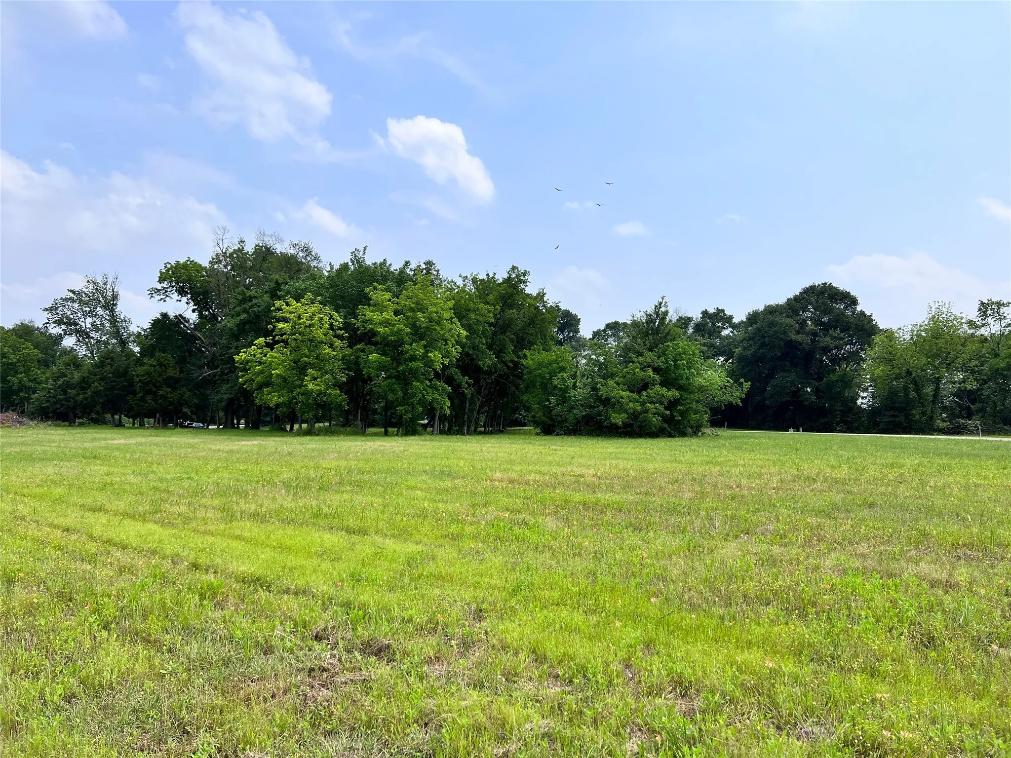 Unimproved Land For Sale in Navarro County , Lot 26 Clubhouse Drive, Corsicana, Texas 75109, 0, 0, Garage spaces, 0 Sqft, built in 0, Price $65,000, mls#21142593, Real Estate Agent in Corsicana, Homes For Sale in Navarro county, Homes For Sale in Corsicana, Realtor in Corsicana Texas, Real Estate Brokerage Independent Realty Texas, Luminita Cordes Realtor