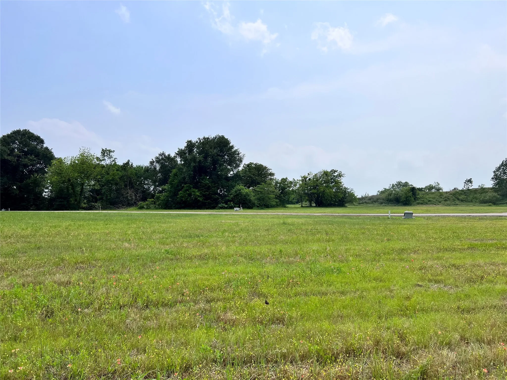 Unimproved Land For Sale in Navarro County , Lot 26 Clubhouse Drive, Corsicana, Texas 75109, 0, 0, Garage spaces, 0 Sqft, built in 0, Price $65,000, mls#21142593, Real Estate Agent in Corsicana, Homes For Sale in Navarro county, Homes For Sale in Corsicana, Realtor in Corsicana Texas, Real Estate Brokerage Independent Realty Texas, Luminita Cordes Realtor