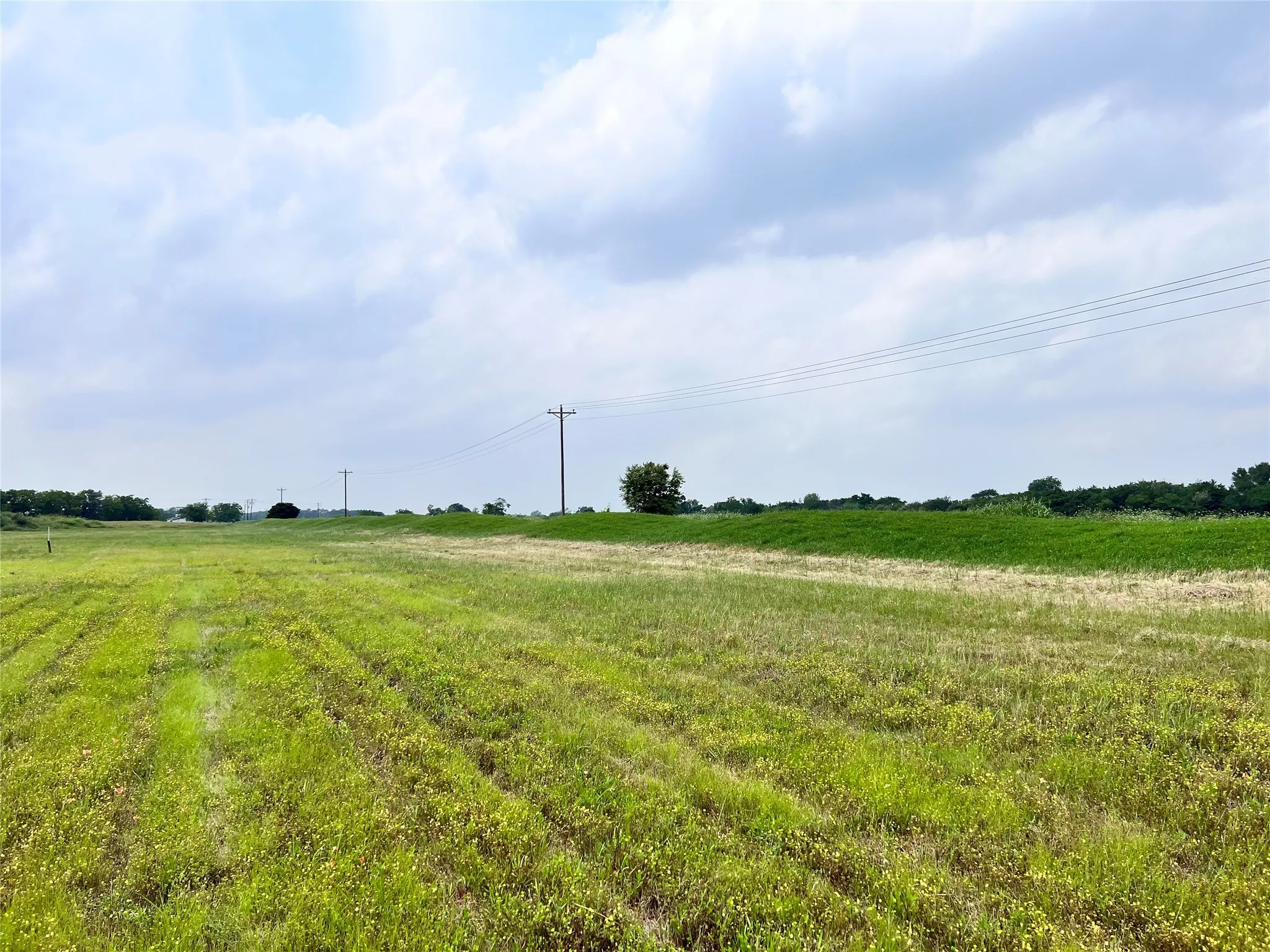 Unimproved Land For Sale in Navarro County , Lot 26 Clubhouse Drive, Corsicana, Texas 75109, 0, 0, Garage spaces, 0 Sqft, built in 0, Price $65,000, mls#21142593, Real Estate Agent in Corsicana, Homes For Sale in Navarro county, Homes For Sale in Corsicana, Realtor in Corsicana Texas, Real Estate Brokerage Independent Realty Texas, Luminita Cordes Realtor