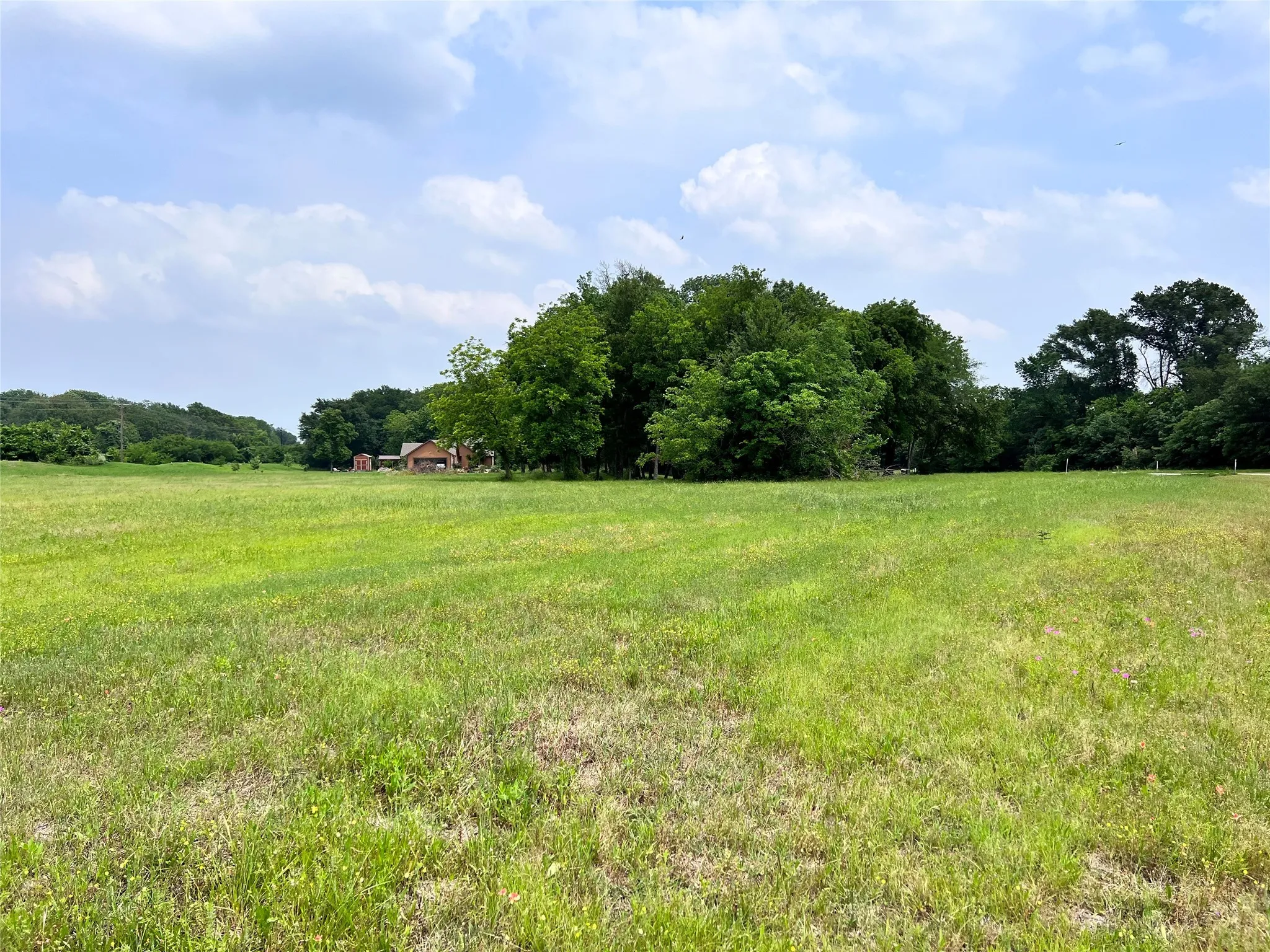 Unimproved Land For Sale in Navarro County , Lot 26 Clubhouse Drive, Corsicana, Texas 75109, 0, 0, Garage spaces, 0 Sqft, built in 0, Price $65,000, mls#21142593, Real Estate Agent in Corsicana, Homes For Sale in Navarro county, Homes For Sale in Corsicana, Realtor in Corsicana Texas, Real Estate Brokerage Independent Realty Texas, Luminita Cordes Realtor