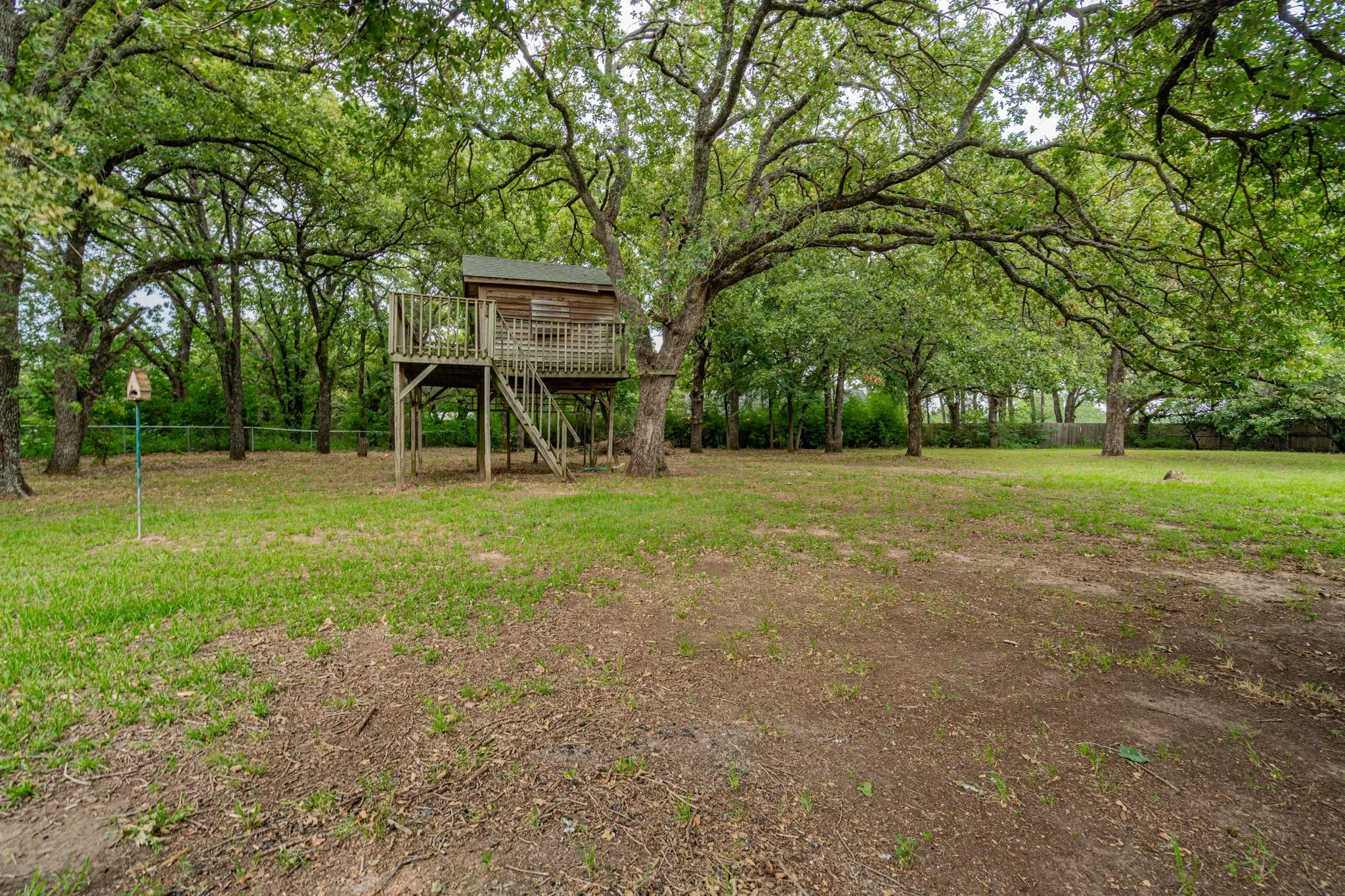 Tree House