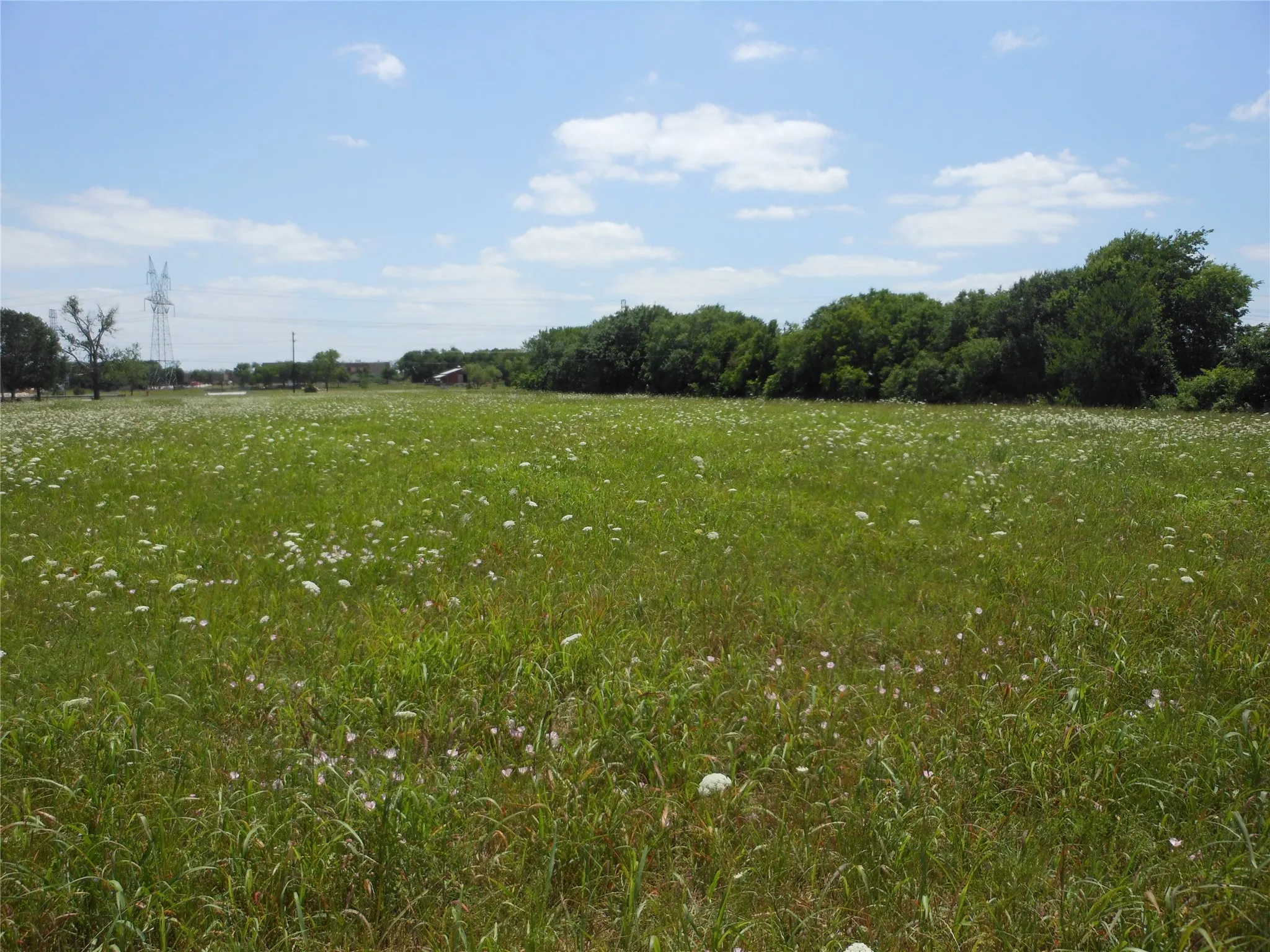 Unimproved Land For Sale in Collin County , 325 Donna Drive, Wylie, Texas 75098, 0, 0, Garage spaces, 0 Sqft, built in 0, Price $465,500, mls#21151880, Real Estate Agent in Wylie, Homes For Sale in Collin county, Homes For Sale in Wylie, Realtor in Wylie Texas, Real Estate Brokerage Independent Realty Texas, Luminita Cordes Realtor