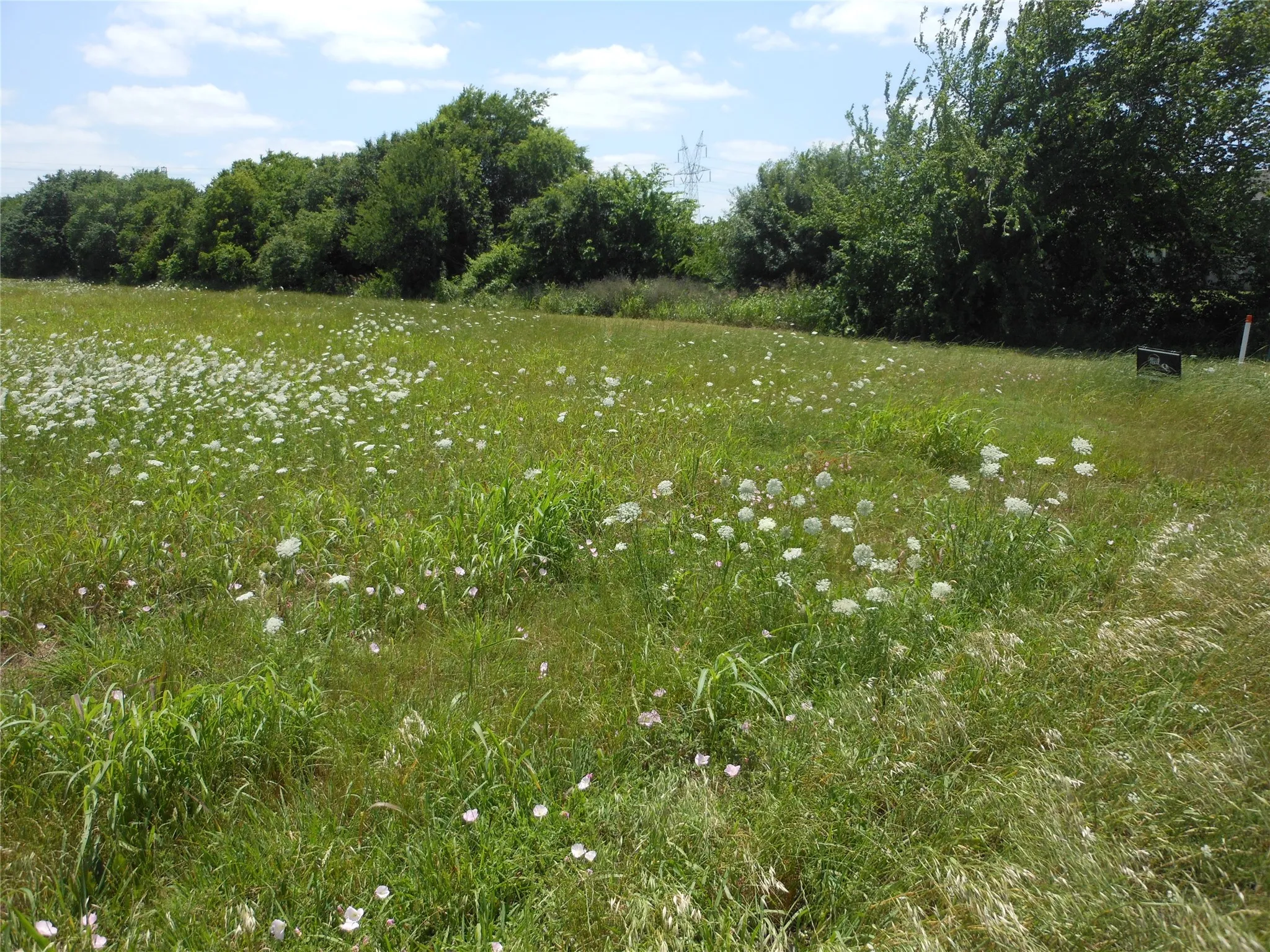Unimproved Land For Sale in Collin County , 325 Donna Drive, Wylie, Texas 75098, 0, 0, Garage spaces, 0 Sqft, built in 0, Price $465,500, mls#21151880, Real Estate Agent in Wylie, Homes For Sale in Collin county, Homes For Sale in Wylie, Realtor in Wylie Texas, Real Estate Brokerage Independent Realty Texas, Luminita Cordes Realtor