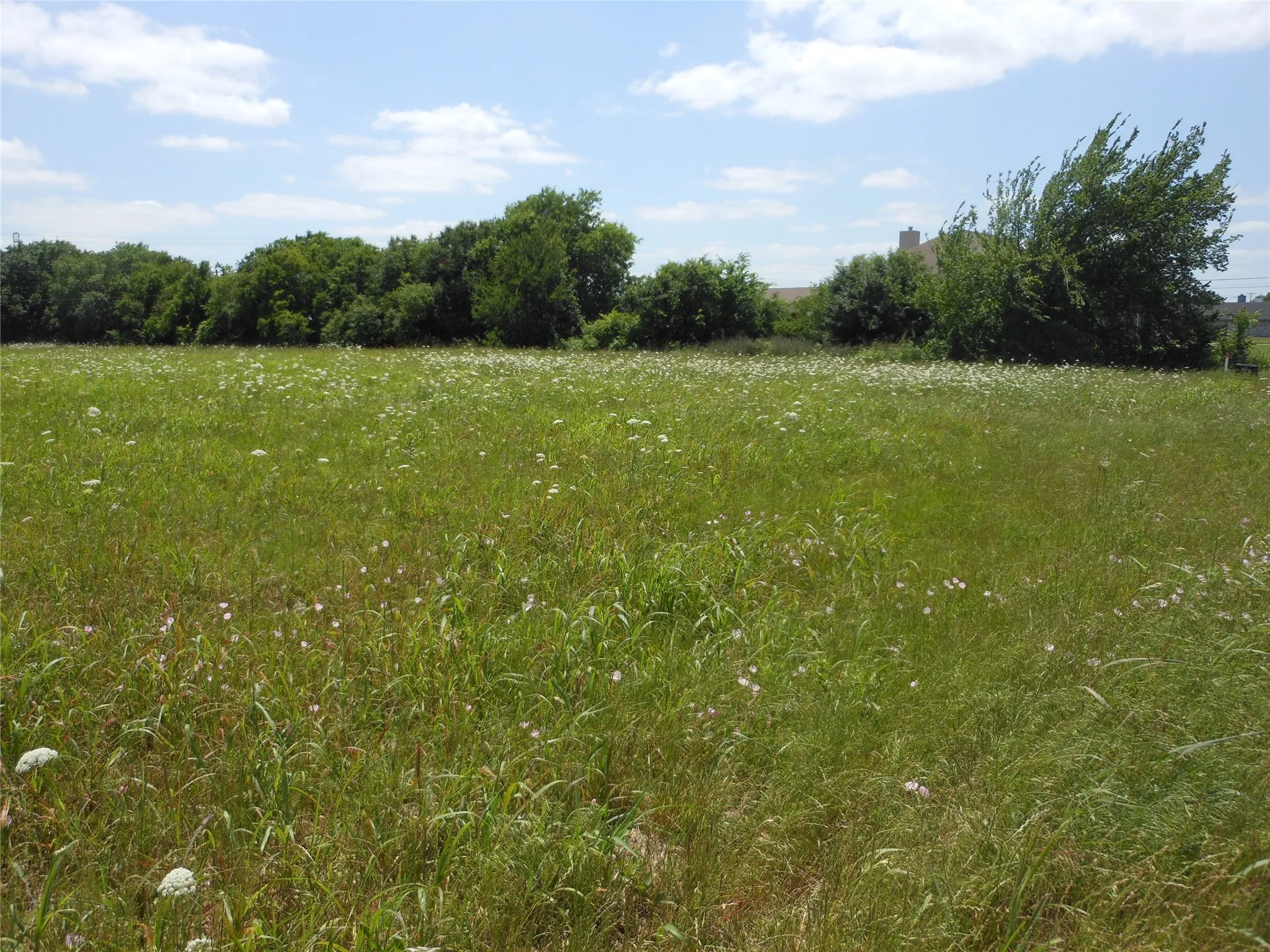 Unimproved Land For Sale in Collin County , 325 Donna Drive, Wylie, Texas 75098, 0, 0, Garage spaces, 0 Sqft, built in 0, Price $465,500, mls#21151880, Real Estate Agent in Wylie, Homes For Sale in Collin county, Homes For Sale in Wylie, Realtor in Wylie Texas, Real Estate Brokerage Independent Realty Texas, Luminita Cordes Realtor