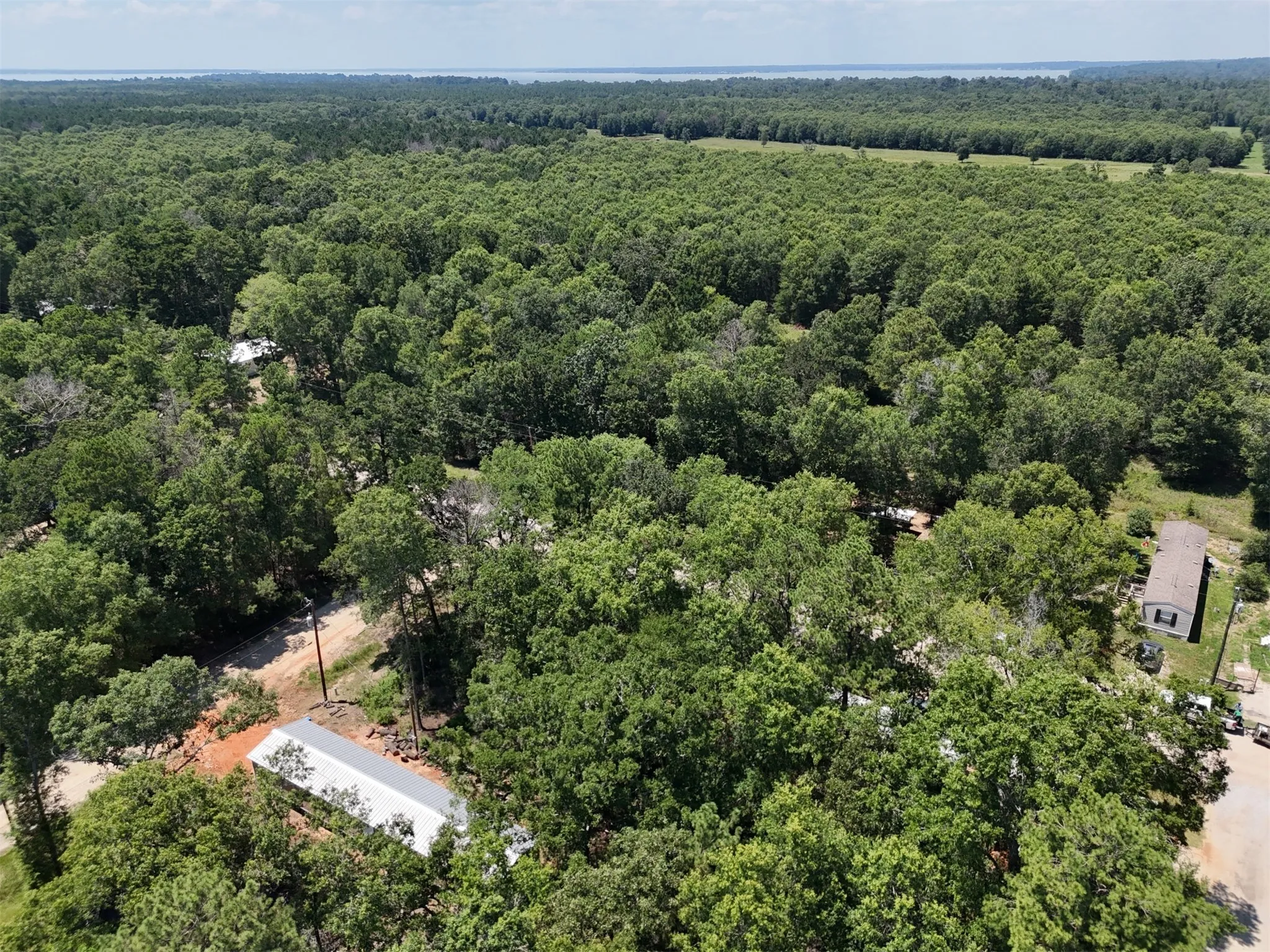 Unimproved Land For Sale in Polk County , Lot 101 Ithica, Livingston, Texas 77351, 0, 0, Garage spaces, 0 Sqft, built in 0, Price $149,899, mls#21152206, Real Estate Agent in Livingston, Homes For Sale in Polk county, Homes For Sale in Livingston, Realtor in Livingston Texas, Real Estate Brokerage Independent Realty Texas, Luminita Cordes Realtor