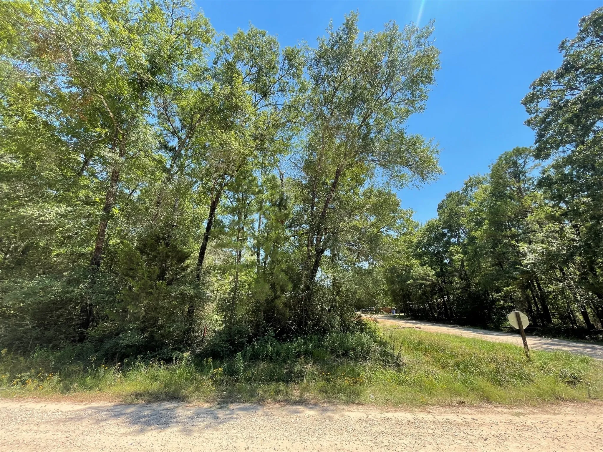 Unimproved Land For Sale in Polk County , Lot 101 Ithica, Livingston, Texas 77351, 0, 0, Garage spaces, 0 Sqft, built in 0, Price $149,899, mls#21152206, Real Estate Agent in Livingston, Homes For Sale in Polk county, Homes For Sale in Livingston, Realtor in Livingston Texas, Real Estate Brokerage Independent Realty Texas, Luminita Cordes Realtor