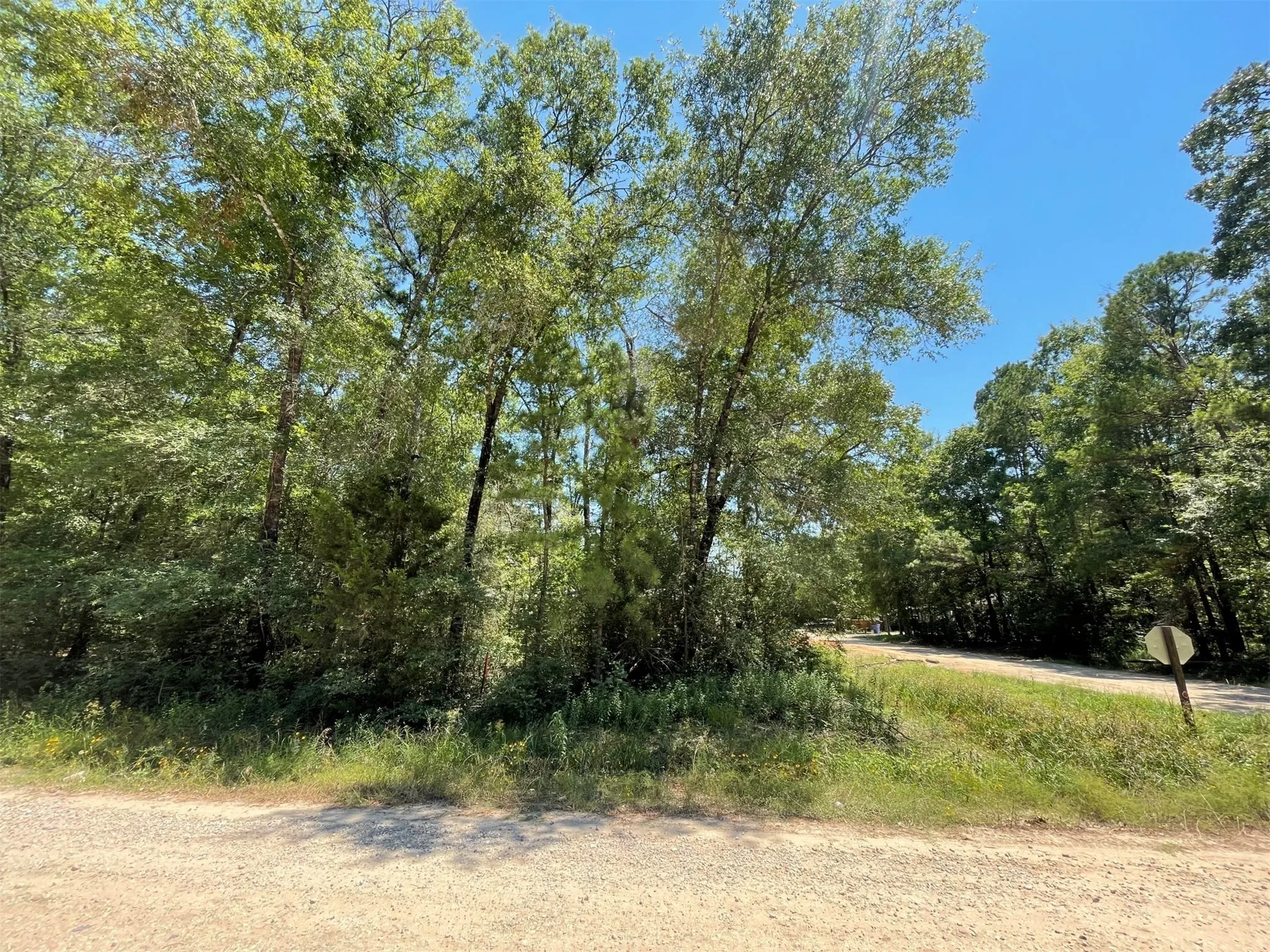 Unimproved Land For Sale in Polk County , Lot 101 Ithica, Livingston, Texas 77351, 0, 0, Garage spaces, 0 Sqft, built in 0, Price $149,899, mls#21152206, Real Estate Agent in Livingston, Homes For Sale in Polk county, Homes For Sale in Livingston, Realtor in Livingston Texas, Real Estate Brokerage Independent Realty Texas, Luminita Cordes Realtor