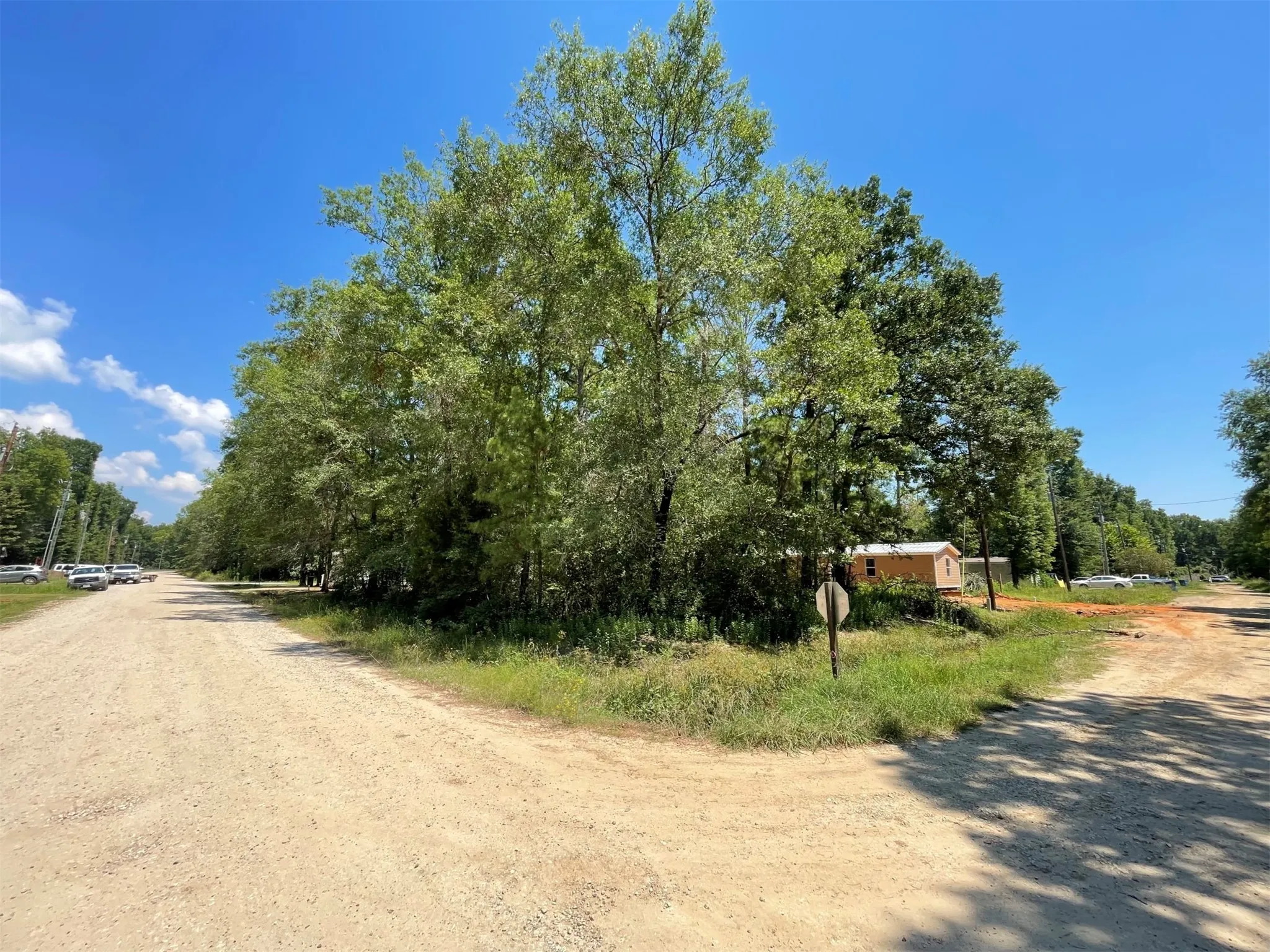 Unimproved Land For Sale in Polk County , Lot 101 Ithica, Livingston, Texas 77351, 0, 0, Garage spaces, 0 Sqft, built in 0, Price $149,899, mls#21152206, Real Estate Agent in Livingston, Homes For Sale in Polk county, Homes For Sale in Livingston, Realtor in Livingston Texas, Real Estate Brokerage Independent Realty Texas, Luminita Cordes Realtor