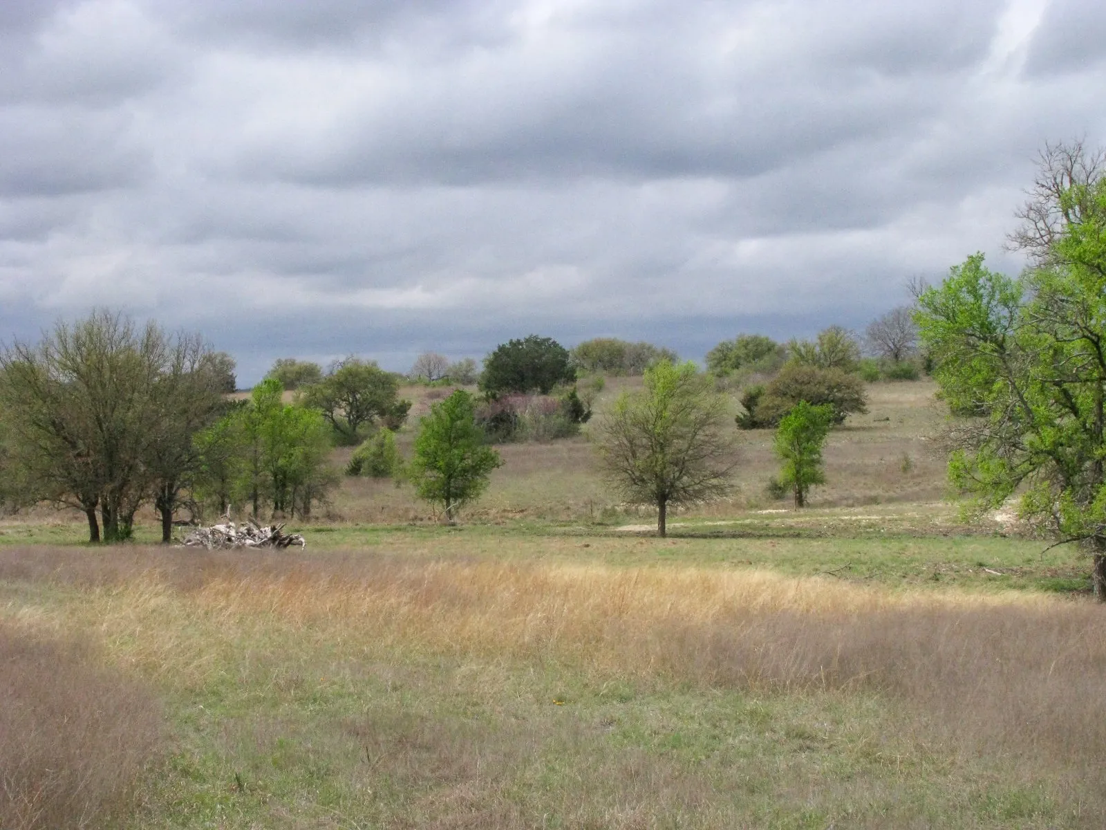 Ranch For Sale in Hamilton County , 3485 County Road 530, Evant, Texas 76525, 0, 0, Garage spaces, 0 Sqft, built in 0, mls#21152236, Real Estate Agent in Evant, Homes For Sale in Hamilton county, Homes For Sale in Evant, Realtor in Evant Texas, Real Estate Brokerage Independent Realty Texas, Luminita Cordes Realtor