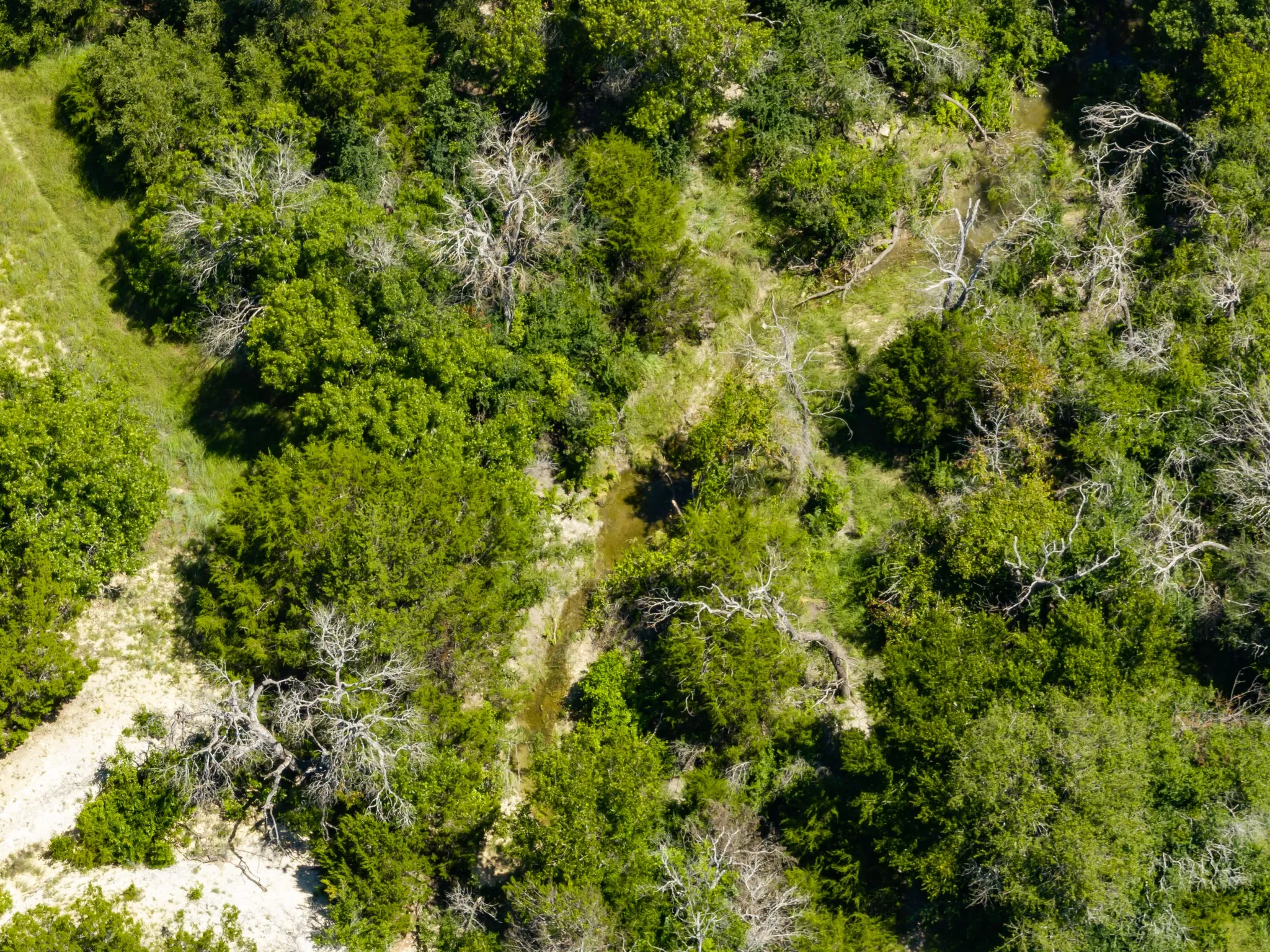 Ranch For Sale in Hamilton County , 3485 County Road 530, Evant, Texas 76525, 0, 0, Garage spaces, 0 Sqft, built in 0, mls#21152236, Real Estate Agent in Evant, Homes For Sale in Hamilton county, Homes For Sale in Evant, Realtor in Evant Texas, Real Estate Brokerage Independent Realty Texas, Luminita Cordes Realtor