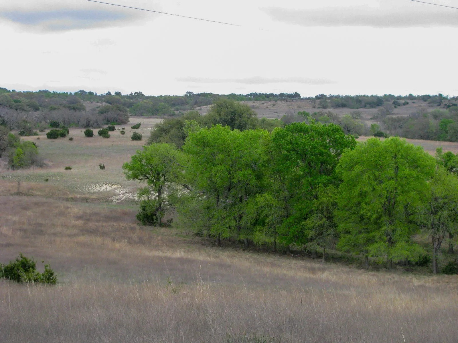 Ranch For Sale in Hamilton County , 3485 County Road 530, Evant, Texas 76525, 0, 0, Garage spaces, 0 Sqft, built in 0, mls#21152236, Real Estate Agent in Evant, Homes For Sale in Hamilton county, Homes For Sale in Evant, Realtor in Evant Texas, Real Estate Brokerage Independent Realty Texas, Luminita Cordes Realtor