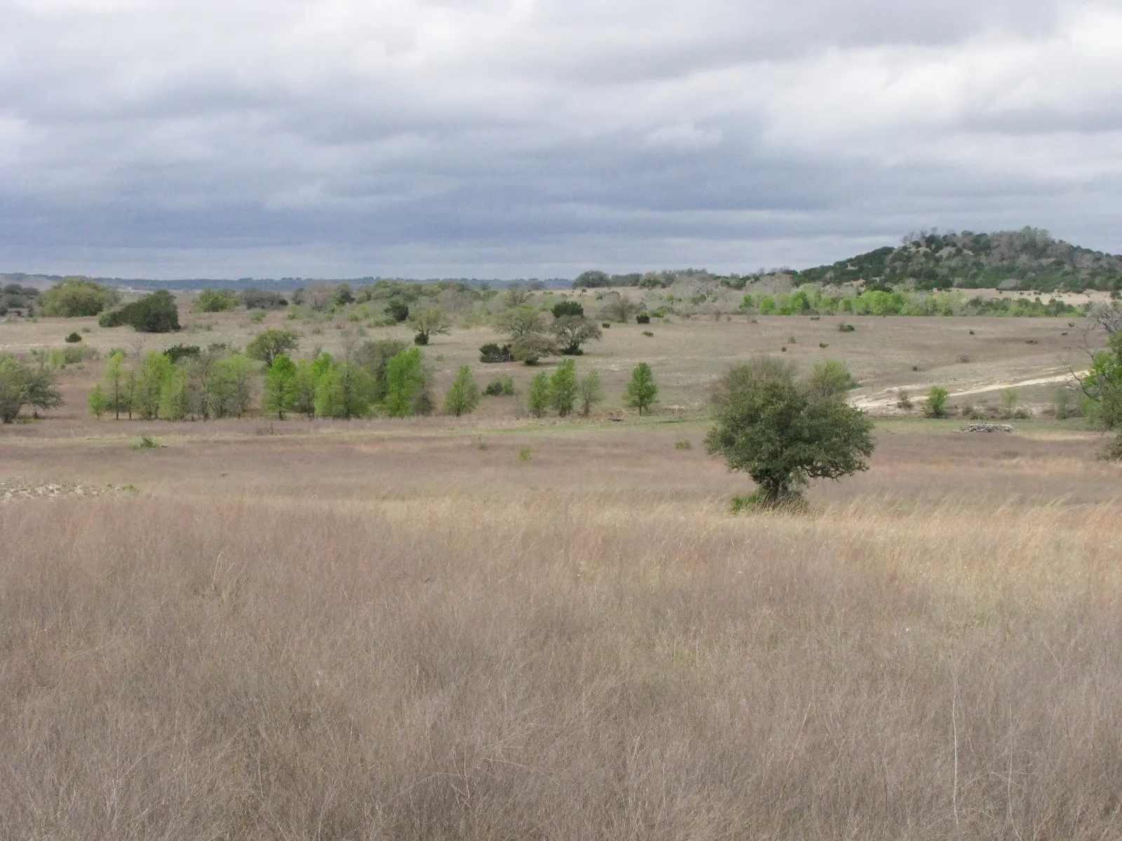 Ranch For Sale in Hamilton County , 3485 County Road 530, Evant, Texas 76525, 0, 0, Garage spaces, 0 Sqft, built in 0, mls#21152236, Real Estate Agent in Evant, Homes For Sale in Hamilton county, Homes For Sale in Evant, Realtor in Evant Texas, Real Estate Brokerage Independent Realty Texas, Luminita Cordes Realtor