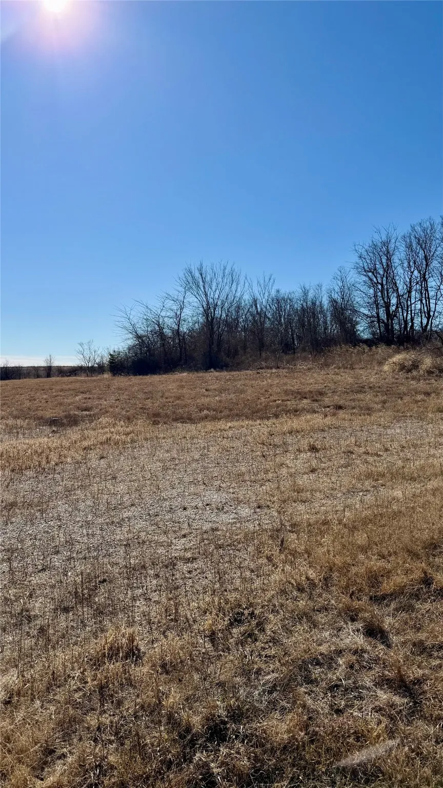 Unimproved Land For Sale in Cooke County , 190 PR 4000 Road, Gainesville, Texas 76240, 0, 0, Garage spaces, 0 Sqft, built in 0, mls#21152233, Real Estate Agent in Gainesville, Homes For Sale in Cooke county, Homes For Sale in Gainesville, Realtor in Gainesville Texas, Real Estate Brokerage Independent Realty Texas, Luminita Cordes Realtor