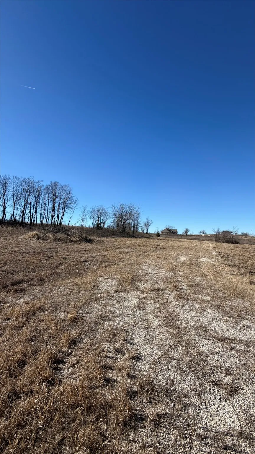 Unimproved Land For Sale in Cooke County , 190 PR 4000 Road, Gainesville, Texas 76240, 0, 0, Garage spaces, 0 Sqft, built in 0, mls#21152233, Real Estate Agent in Gainesville, Homes For Sale in Cooke county, Homes For Sale in Gainesville, Realtor in Gainesville Texas, Real Estate Brokerage Independent Realty Texas, Luminita Cordes Realtor