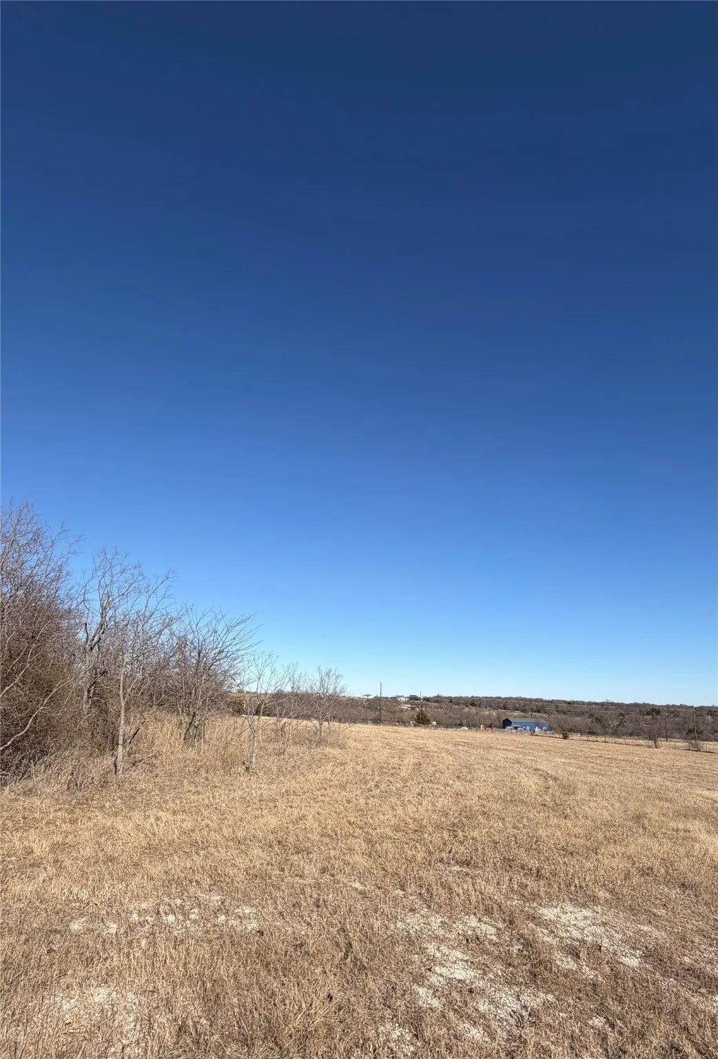 Unimproved Land For Sale in Cooke County , 190 PR 4000 Road, Gainesville, Texas 76240, 0, 0, Garage spaces, 0 Sqft, built in 0, mls#21152233, Real Estate Agent in Gainesville, Homes For Sale in Cooke county, Homes For Sale in Gainesville, Realtor in Gainesville Texas, Real Estate Brokerage Independent Realty Texas, Luminita Cordes Realtor