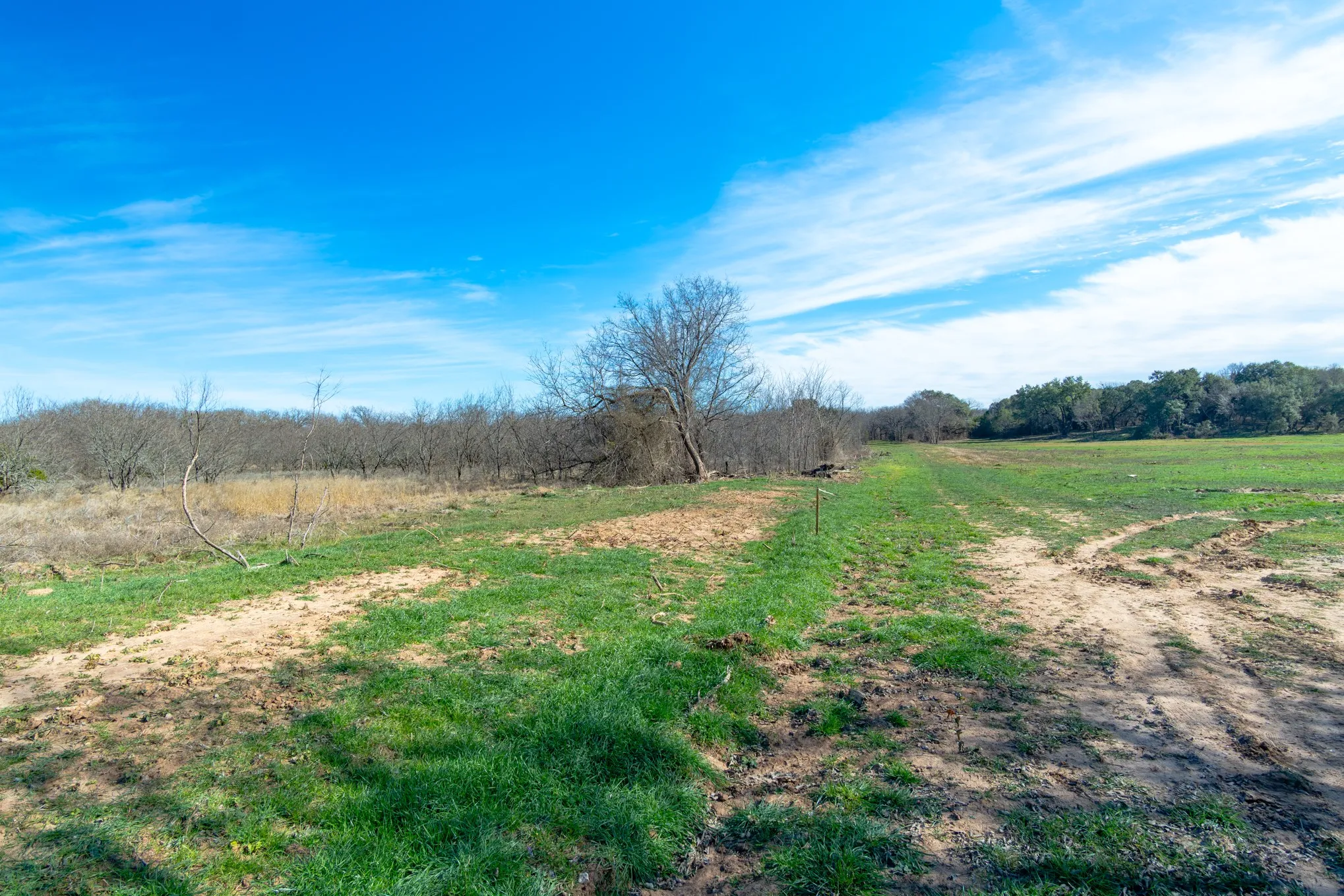 Unimproved Land For Sale in Hood County , 0000 Overton Court, Granbury, Texas 76048, 0, 0, Garage spaces, 0 Sqft, built in 0, Price $958,920, mls#21152377, Real Estate Agent in Granbury, Homes For Sale in Hood county, Homes For Sale in Granbury, Realtor in Granbury Texas, Real Estate Brokerage Independent Realty Texas, Luminita Cordes Realtor