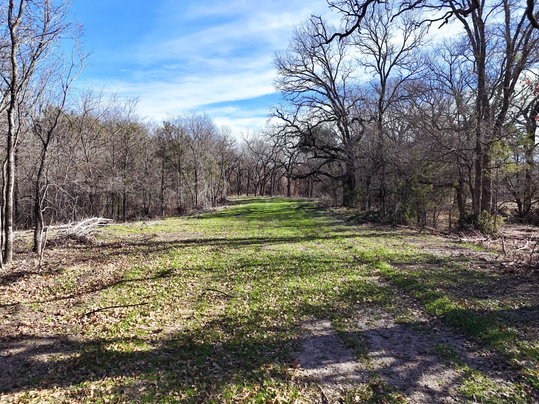 Unimproved Land For Sale in Hood County , 0000 Overton Court, Granbury, Texas 76048, 0, 0, Garage spaces, 0 Sqft, built in 0, Price $958,920, mls#21152377, Real Estate Agent in Granbury, Homes For Sale in Hood county, Homes For Sale in Granbury, Realtor in Granbury Texas, Real Estate Brokerage Independent Realty Texas, Luminita Cordes Realtor