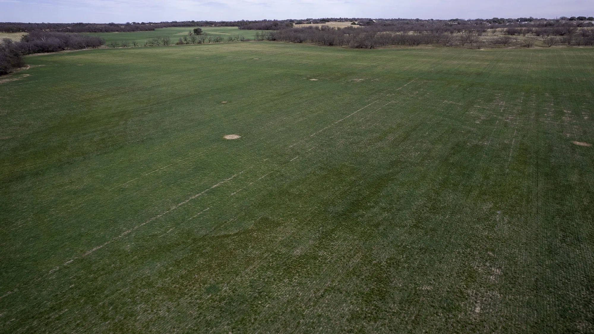 Unimproved Land For Sale in Comanche County , TBD CR 440, De Leon, Texas 76444, 0, 0, Garage spaces, 0 Sqft, built in 0, Price $890,000, mls#21149376, Real Estate Agent in De Leon, Homes For Sale in Comanche county, Homes For Sale in De Leon, Realtor in De Leon Texas, Real Estate Brokerage Independent Realty Texas, Luminita Cordes Realtor