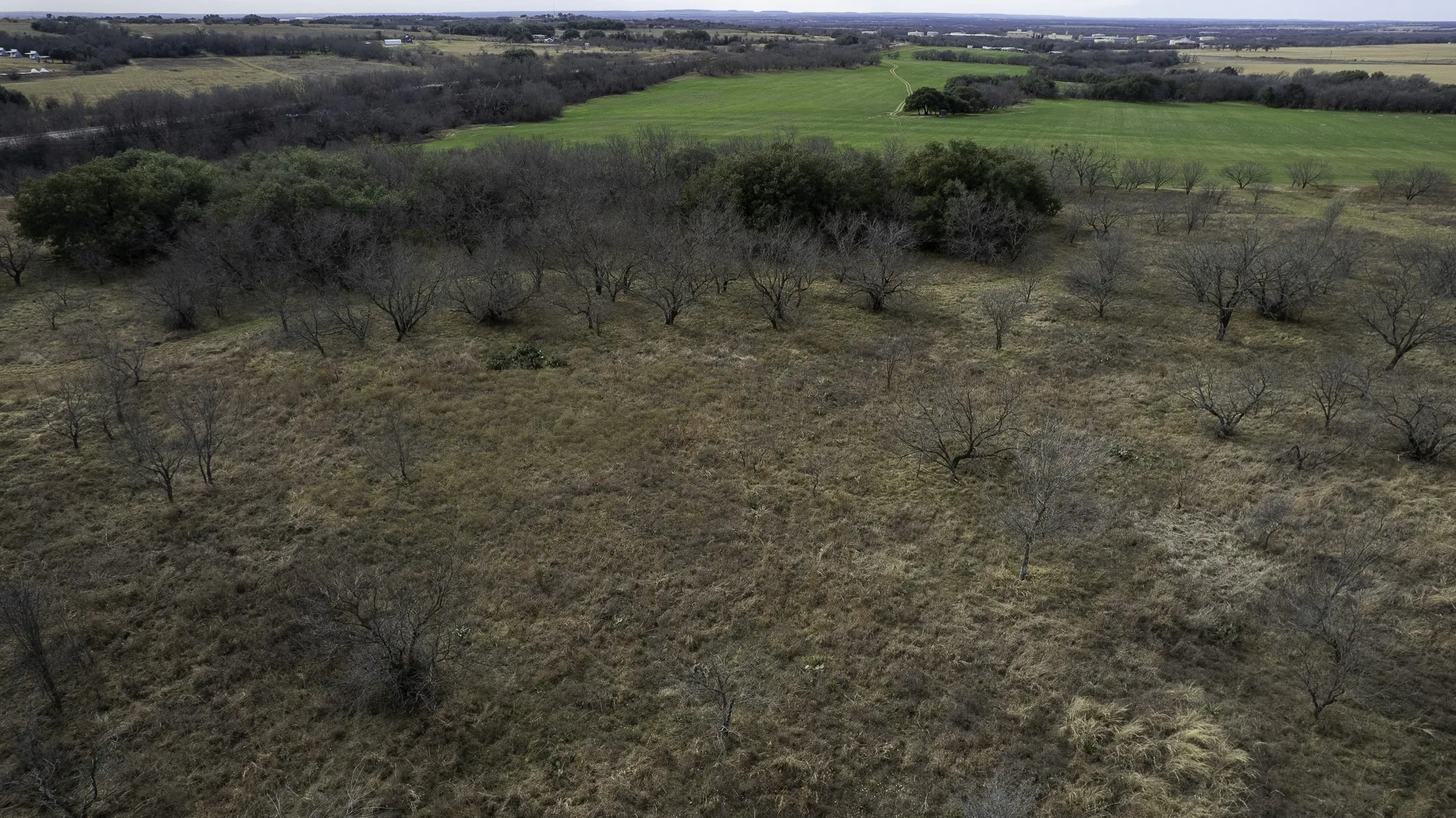 Unimproved Land For Sale in Comanche County , TBD CR 440, De Leon, Texas 76444, 0, 0, Garage spaces, 0 Sqft, built in 0, Price $890,000, mls#21149376, Real Estate Agent in De Leon, Homes For Sale in Comanche county, Homes For Sale in De Leon, Realtor in De Leon Texas, Real Estate Brokerage Independent Realty Texas, Luminita Cordes Realtor