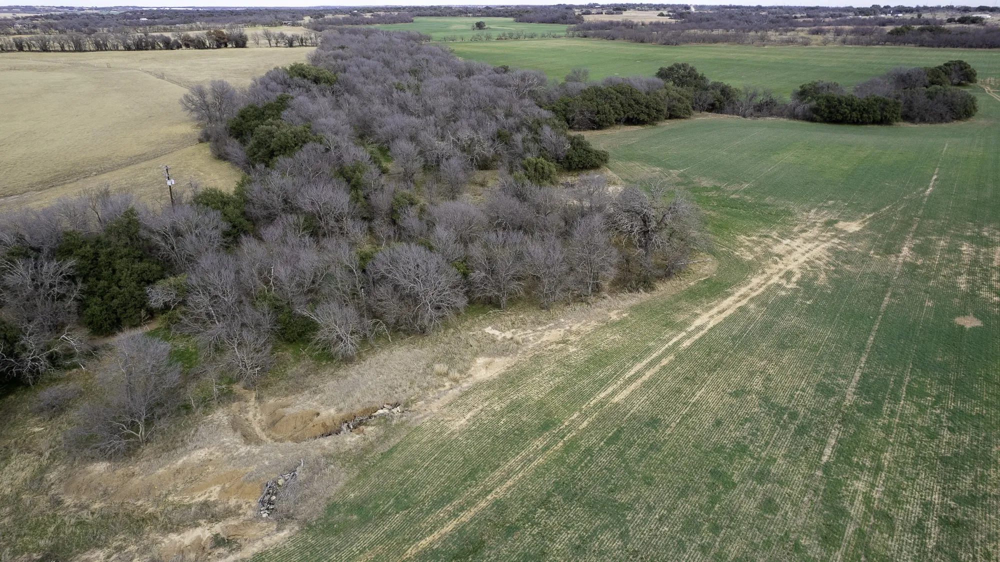 Unimproved Land For Sale in Comanche County , TBD CR 440, De Leon, Texas 76444, 0, 0, Garage spaces, 0 Sqft, built in 0, Price $890,000, mls#21149376, Real Estate Agent in De Leon, Homes For Sale in Comanche county, Homes For Sale in De Leon, Realtor in De Leon Texas, Real Estate Brokerage Independent Realty Texas, Luminita Cordes Realtor