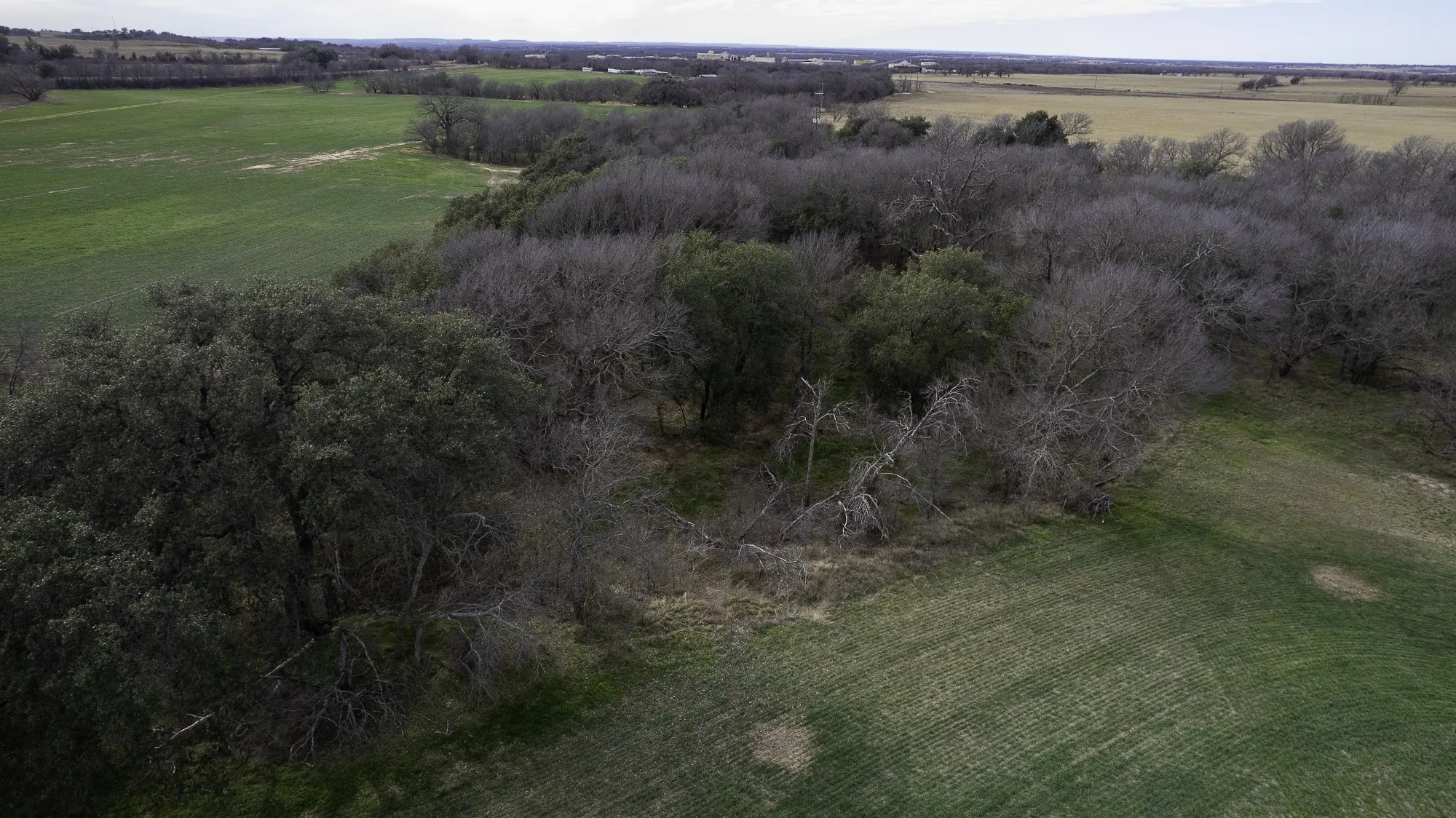 Unimproved Land For Sale in Comanche County , TBD CR 440, De Leon, Texas 76444, 0, 0, Garage spaces, 0 Sqft, built in 0, Price $890,000, mls#21149376, Real Estate Agent in De Leon, Homes For Sale in Comanche county, Homes For Sale in De Leon, Realtor in De Leon Texas, Real Estate Brokerage Independent Realty Texas, Luminita Cordes Realtor
