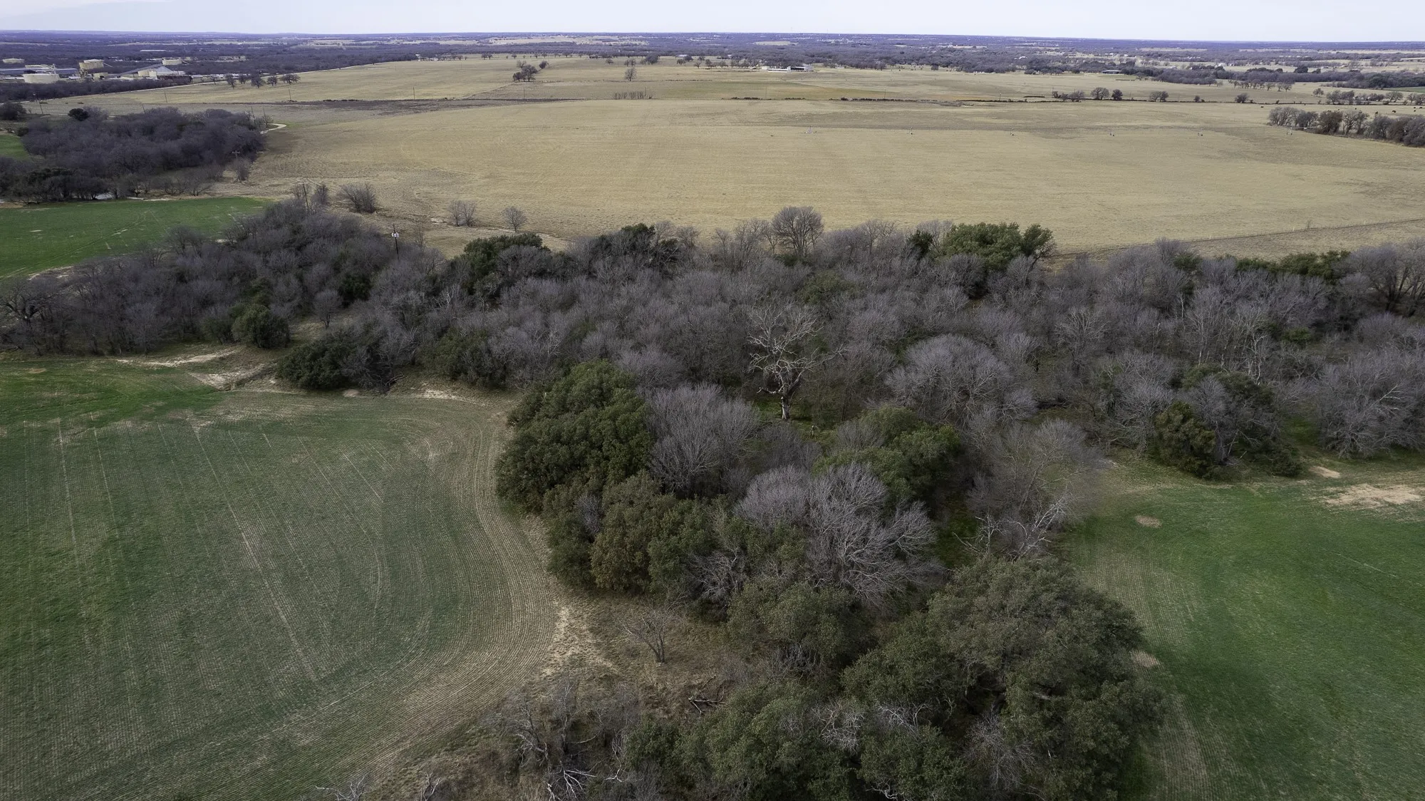 Unimproved Land For Sale in Comanche County , TBD CR 440, De Leon, Texas 76444, 0, 0, Garage spaces, 0 Sqft, built in 0, Price $890,000, mls#21149376, Real Estate Agent in De Leon, Homes For Sale in Comanche county, Homes For Sale in De Leon, Realtor in De Leon Texas, Real Estate Brokerage Independent Realty Texas, Luminita Cordes Realtor