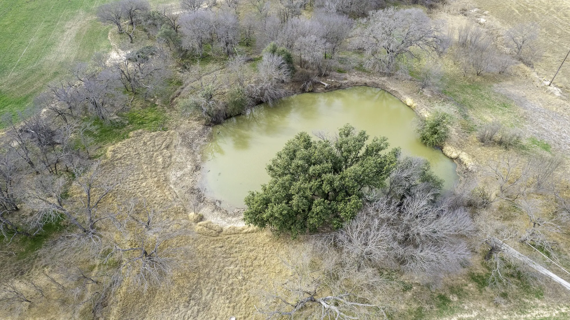 Unimproved Land For Sale in Comanche County , TBD CR 440, De Leon, Texas 76444, 0, 0, Garage spaces, 0 Sqft, built in 0, Price $890,000, mls#21149376, Real Estate Agent in De Leon, Homes For Sale in Comanche county, Homes For Sale in De Leon, Realtor in De Leon Texas, Real Estate Brokerage Independent Realty Texas, Luminita Cordes Realtor