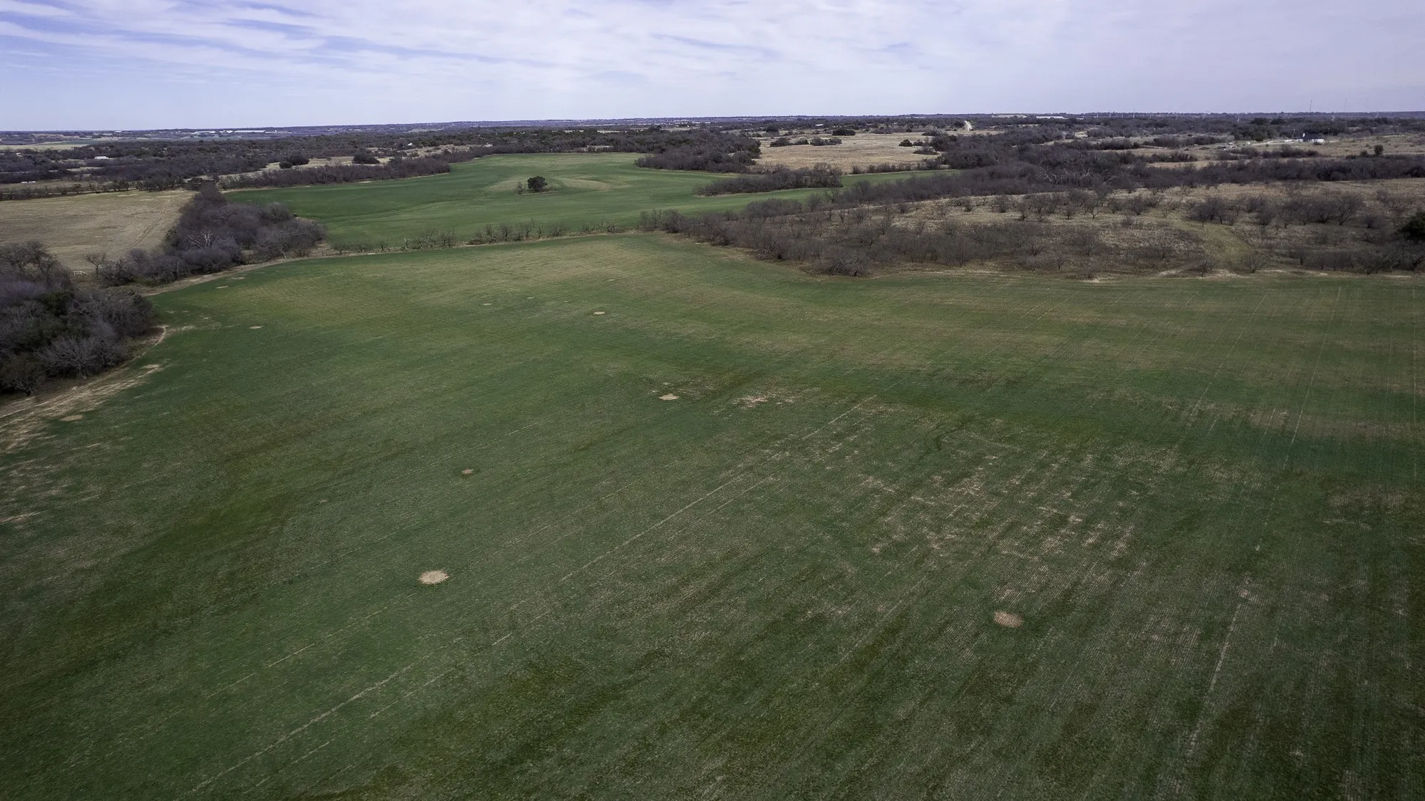 Unimproved Land For Sale in Comanche County , TBD CR 440, De Leon, Texas 76444, 0, 0, Garage spaces, 0 Sqft, built in 0, Price $890,000, mls#21149376, Real Estate Agent in De Leon, Homes For Sale in Comanche county, Homes For Sale in De Leon, Realtor in De Leon Texas, Real Estate Brokerage Independent Realty Texas, Luminita Cordes Realtor