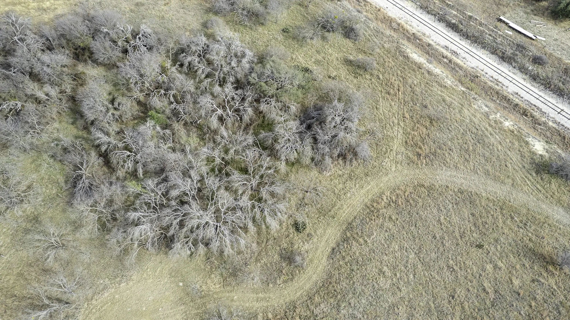Unimproved Land For Sale in Comanche County , TBD CR 440, De Leon, Texas 76444, 0, 0, Garage spaces, 0 Sqft, built in 0, Price $890,000, mls#21149376, Real Estate Agent in De Leon, Homes For Sale in Comanche county, Homes For Sale in De Leon, Realtor in De Leon Texas, Real Estate Brokerage Independent Realty Texas, Luminita Cordes Realtor