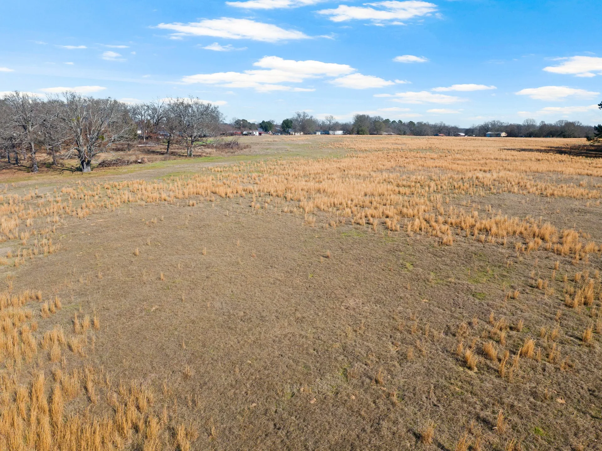 Unimproved Land For Sale in Titus County , TBD FM 1402 and Nevills Rd, Mt Pleasant, Texas 75455, 0, 0, Garage spaces, 0 Sqft, built in 0, Price $699,000, mls#21152545, Real Estate Agent in Mt Pleasant, Homes For Sale in Titus county, Homes For Sale in Mt Pleasant, Realtor in Mt Pleasant Texas, Real Estate Brokerage Independent Realty Texas, Luminita Cordes Realtor