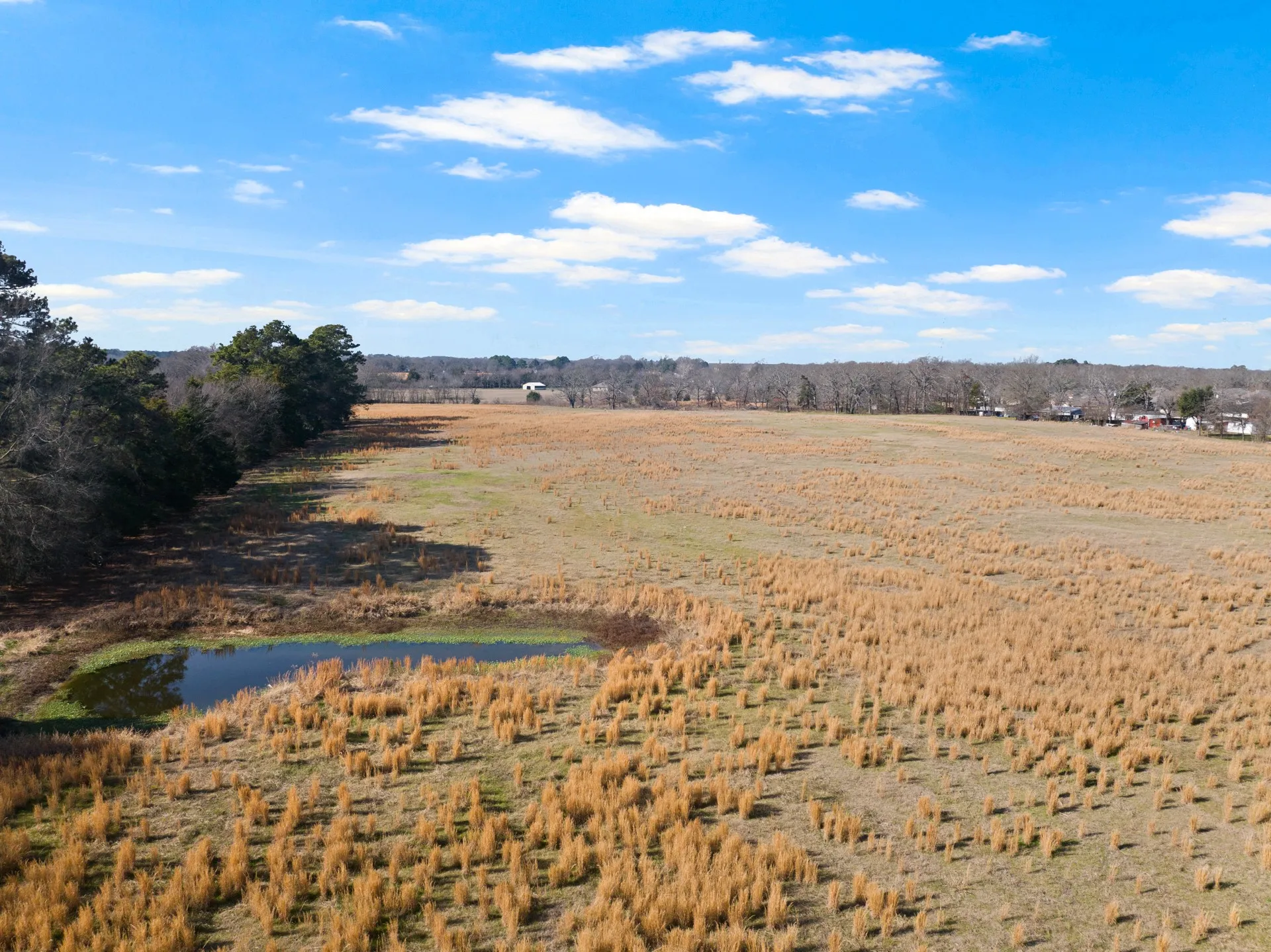 Unimproved Land For Sale in Titus County , TBD FM 1402 and Nevills Rd, Mt Pleasant, Texas 75455, 0, 0, Garage spaces, 0 Sqft, built in 0, Price $699,000, mls#21152545, Real Estate Agent in Mt Pleasant, Homes For Sale in Titus county, Homes For Sale in Mt Pleasant, Realtor in Mt Pleasant Texas, Real Estate Brokerage Independent Realty Texas, Luminita Cordes Realtor