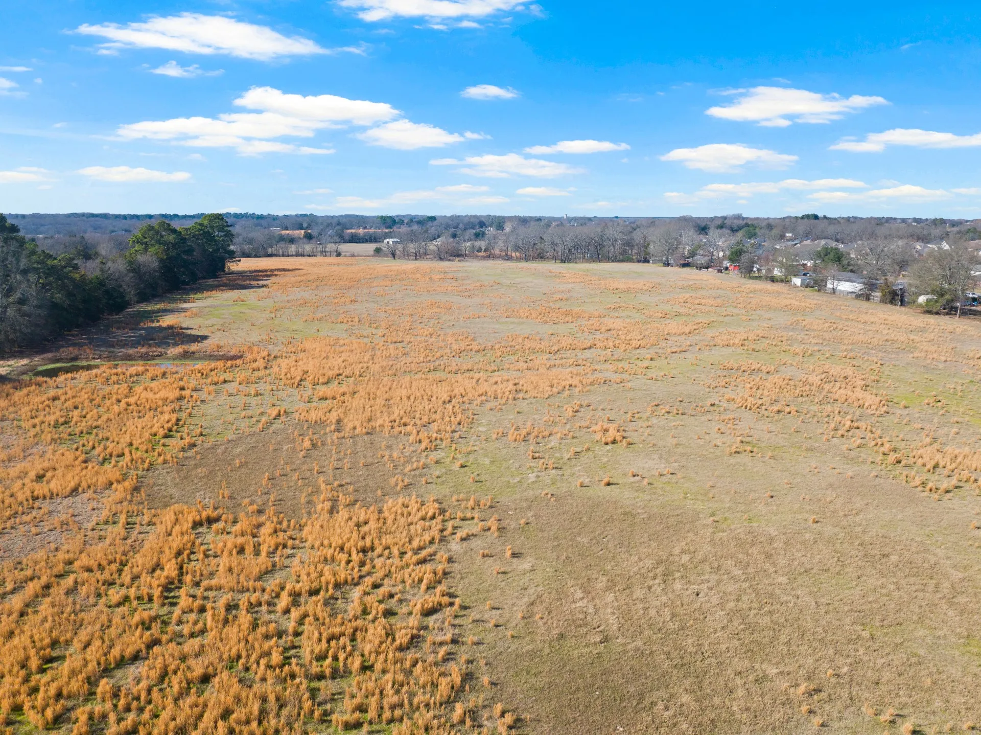 Unimproved Land For Sale in Titus County , TBD FM 1402 and Nevills Rd, Mt Pleasant, Texas 75455, 0, 0, Garage spaces, 0 Sqft, built in 0, Price $699,000, mls#21152545, Real Estate Agent in Mt Pleasant, Homes For Sale in Titus county, Homes For Sale in Mt Pleasant, Realtor in Mt Pleasant Texas, Real Estate Brokerage Independent Realty Texas, Luminita Cordes Realtor