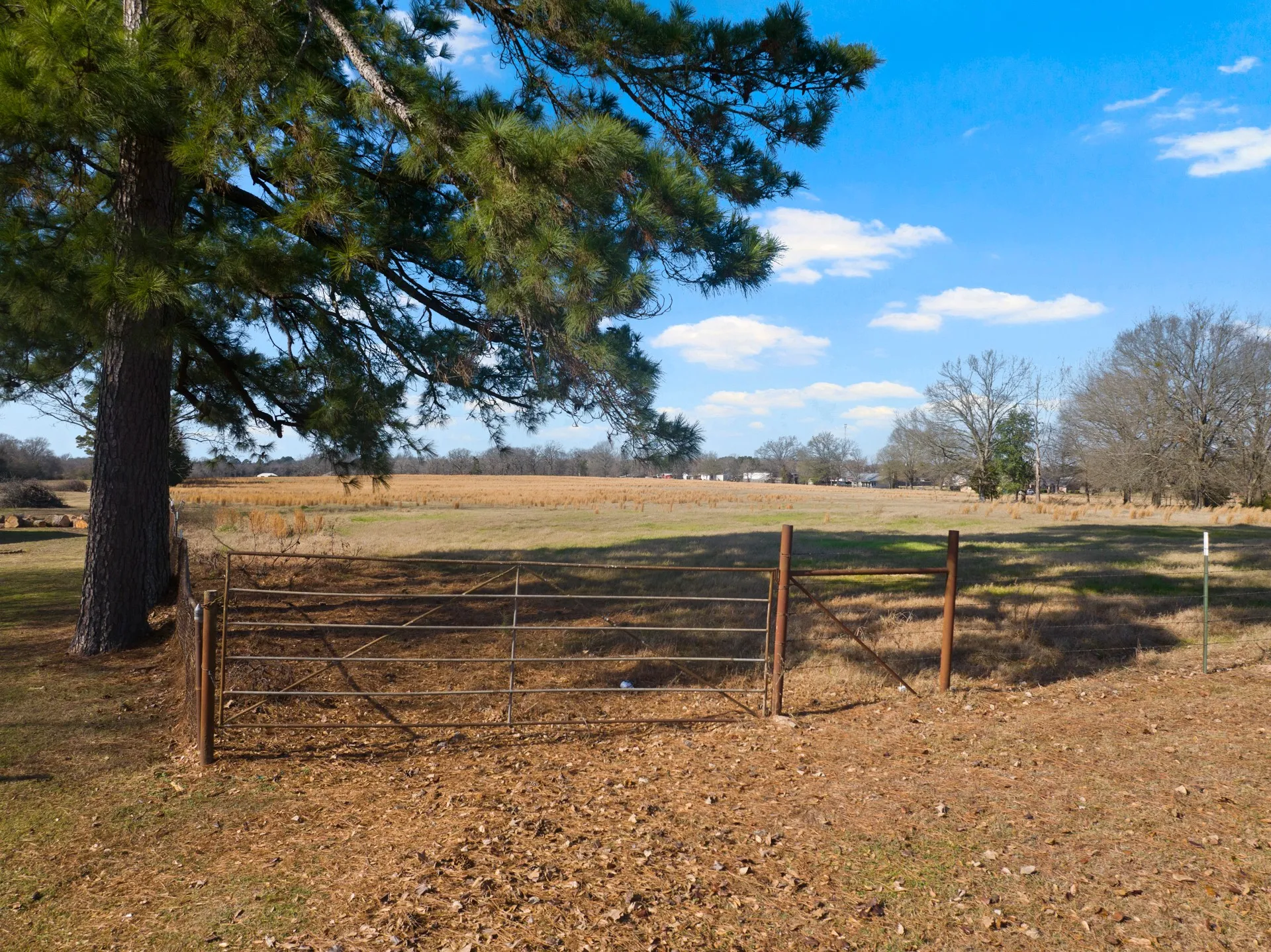 Unimproved Land For Sale in Titus County , TBD FM 1402 and Nevills Rd, Mt Pleasant, Texas 75455, 0, 0, Garage spaces, 0 Sqft, built in 0, Price $699,000, mls#21152545, Real Estate Agent in Mt Pleasant, Homes For Sale in Titus county, Homes For Sale in Mt Pleasant, Realtor in Mt Pleasant Texas, Real Estate Brokerage Independent Realty Texas, Luminita Cordes Realtor