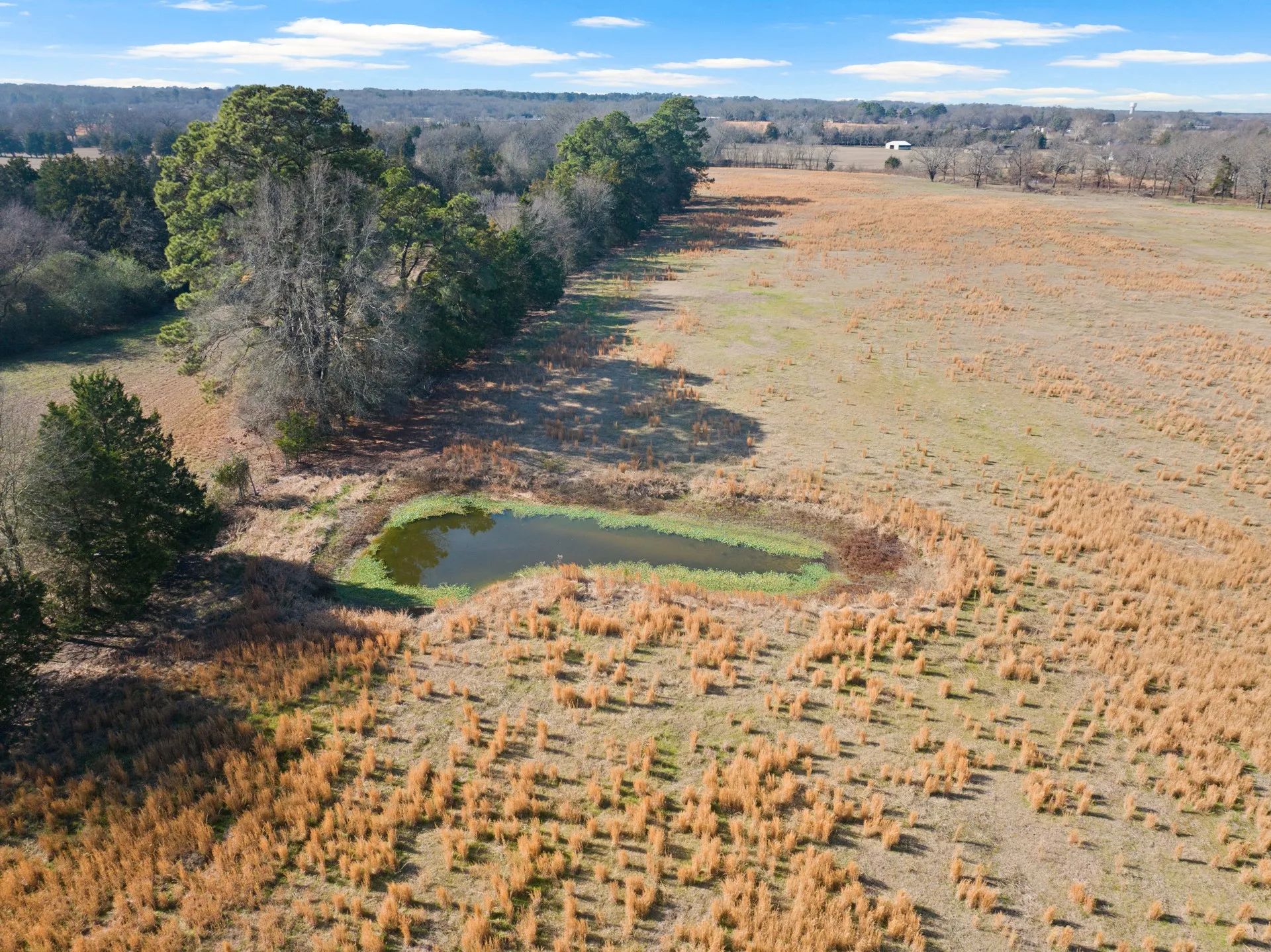 Unimproved Land For Sale in Titus County , TBD FM 1402 and Nevills Rd, Mt Pleasant, Texas 75455, 0, 0, Garage spaces, 0 Sqft, built in 0, Price $699,000, mls#21152545, Real Estate Agent in Mt Pleasant, Homes For Sale in Titus county, Homes For Sale in Mt Pleasant, Realtor in Mt Pleasant Texas, Real Estate Brokerage Independent Realty Texas, Luminita Cordes Realtor