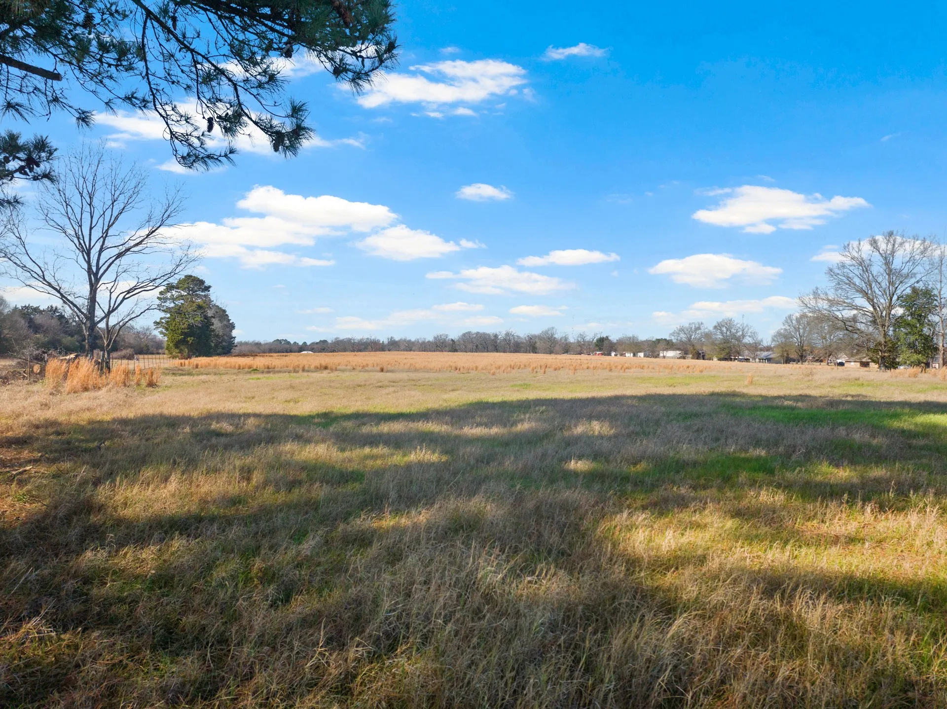 Unimproved Land For Sale in Titus County , TBD FM 1402 and Nevills Rd, Mt Pleasant, Texas 75455, 0, 0, Garage spaces, 0 Sqft, built in 0, Price $699,000, mls#21152545, Real Estate Agent in Mt Pleasant, Homes For Sale in Titus county, Homes For Sale in Mt Pleasant, Realtor in Mt Pleasant Texas, Real Estate Brokerage Independent Realty Texas, Luminita Cordes Realtor