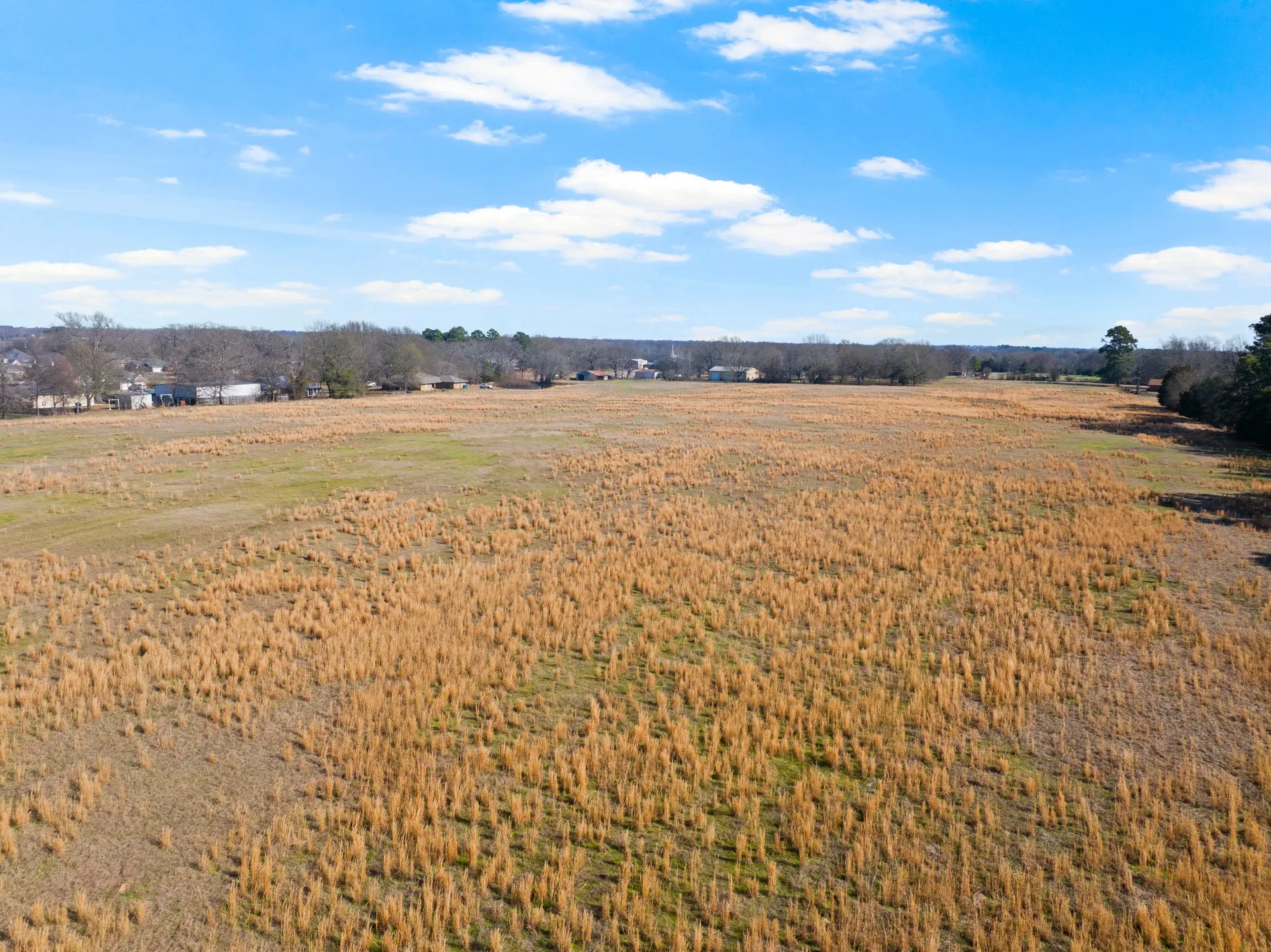 Unimproved Land For Sale in Titus County , TBD FM 1402 and Nevills Rd, Mt Pleasant, Texas 75455, 0, 0, Garage spaces, 0 Sqft, built in 0, Price $699,000, mls#21152545, Real Estate Agent in Mt Pleasant, Homes For Sale in Titus county, Homes For Sale in Mt Pleasant, Realtor in Mt Pleasant Texas, Real Estate Brokerage Independent Realty Texas, Luminita Cordes Realtor