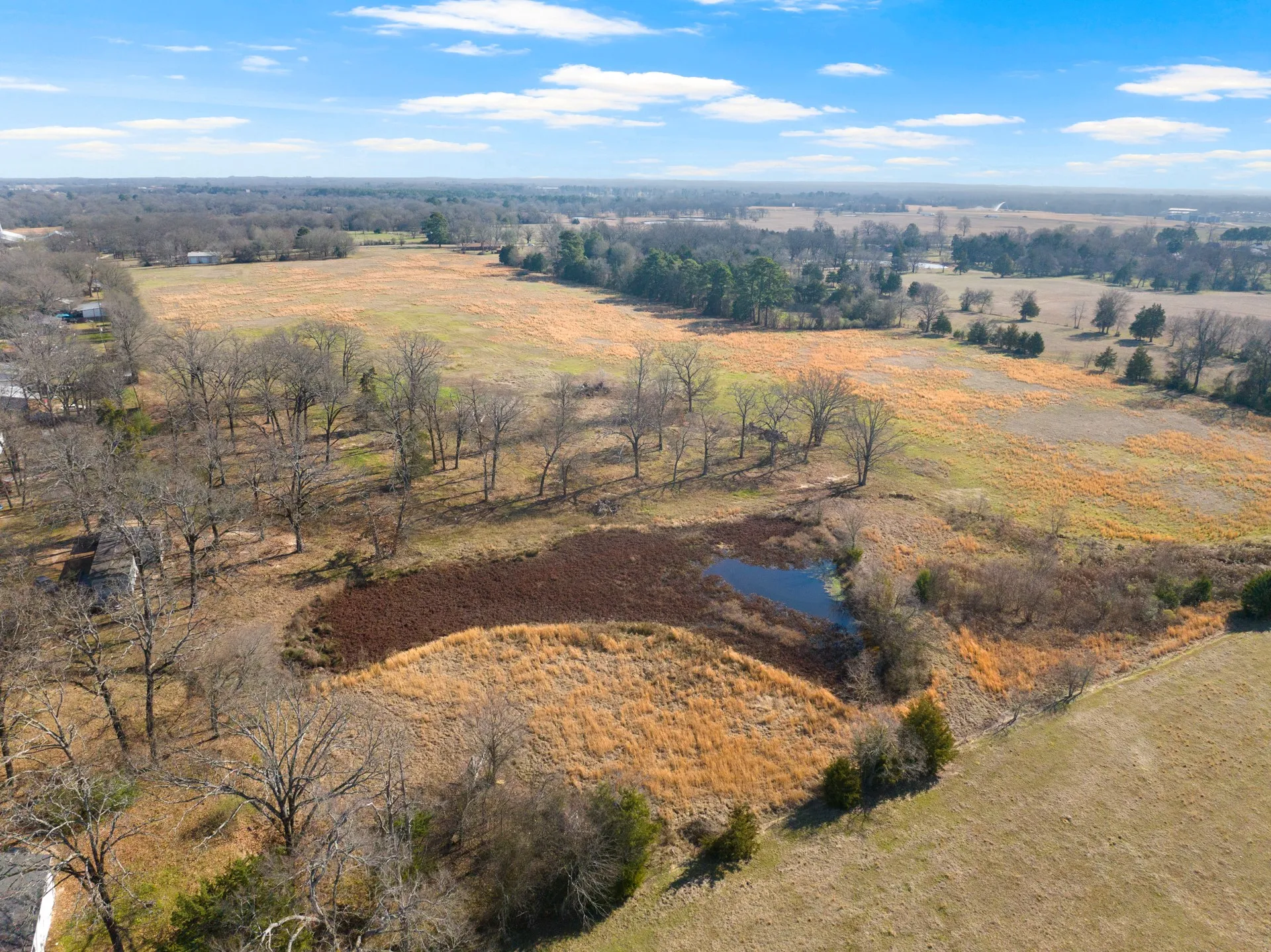 Unimproved Land For Sale in Titus County , TBD FM 1402 and Nevills Rd, Mt Pleasant, Texas 75455, 0, 0, Garage spaces, 0 Sqft, built in 0, Price $699,000, mls#21152545, Real Estate Agent in Mt Pleasant, Homes For Sale in Titus county, Homes For Sale in Mt Pleasant, Realtor in Mt Pleasant Texas, Real Estate Brokerage Independent Realty Texas, Luminita Cordes Realtor
