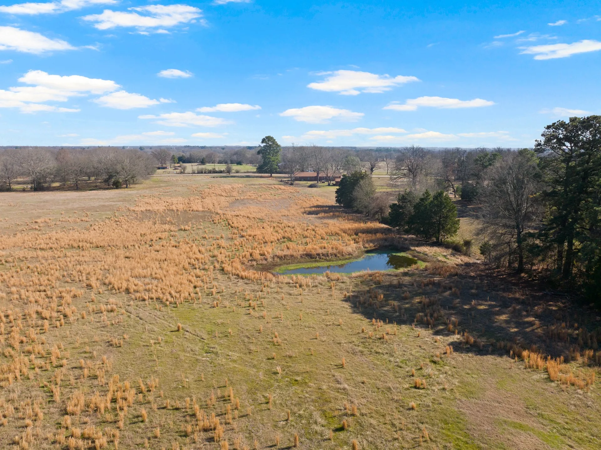 Unimproved Land For Sale in Titus County , TBD FM 1402 and Nevills Rd, Mt Pleasant, Texas 75455, 0, 0, Garage spaces, 0 Sqft, built in 0, Price $699,000, mls#21152545, Real Estate Agent in Mt Pleasant, Homes For Sale in Titus county, Homes For Sale in Mt Pleasant, Realtor in Mt Pleasant Texas, Real Estate Brokerage Independent Realty Texas, Luminita Cordes Realtor