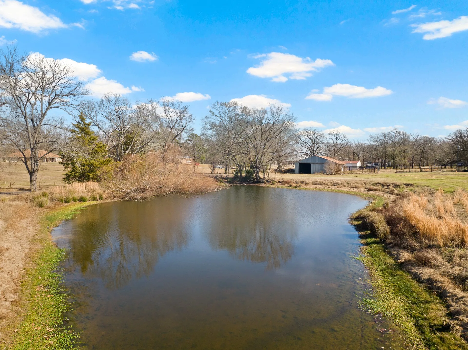 Unimproved Land For Sale in Titus County , TBD FM 1402 and Nevills Rd, Mt Pleasant, Texas 75455, 0, 0, Garage spaces, 0 Sqft, built in 0, Price $699,000, mls#21152545, Real Estate Agent in Mt Pleasant, Homes For Sale in Titus county, Homes For Sale in Mt Pleasant, Realtor in Mt Pleasant Texas, Real Estate Brokerage Independent Realty Texas, Luminita Cordes Realtor