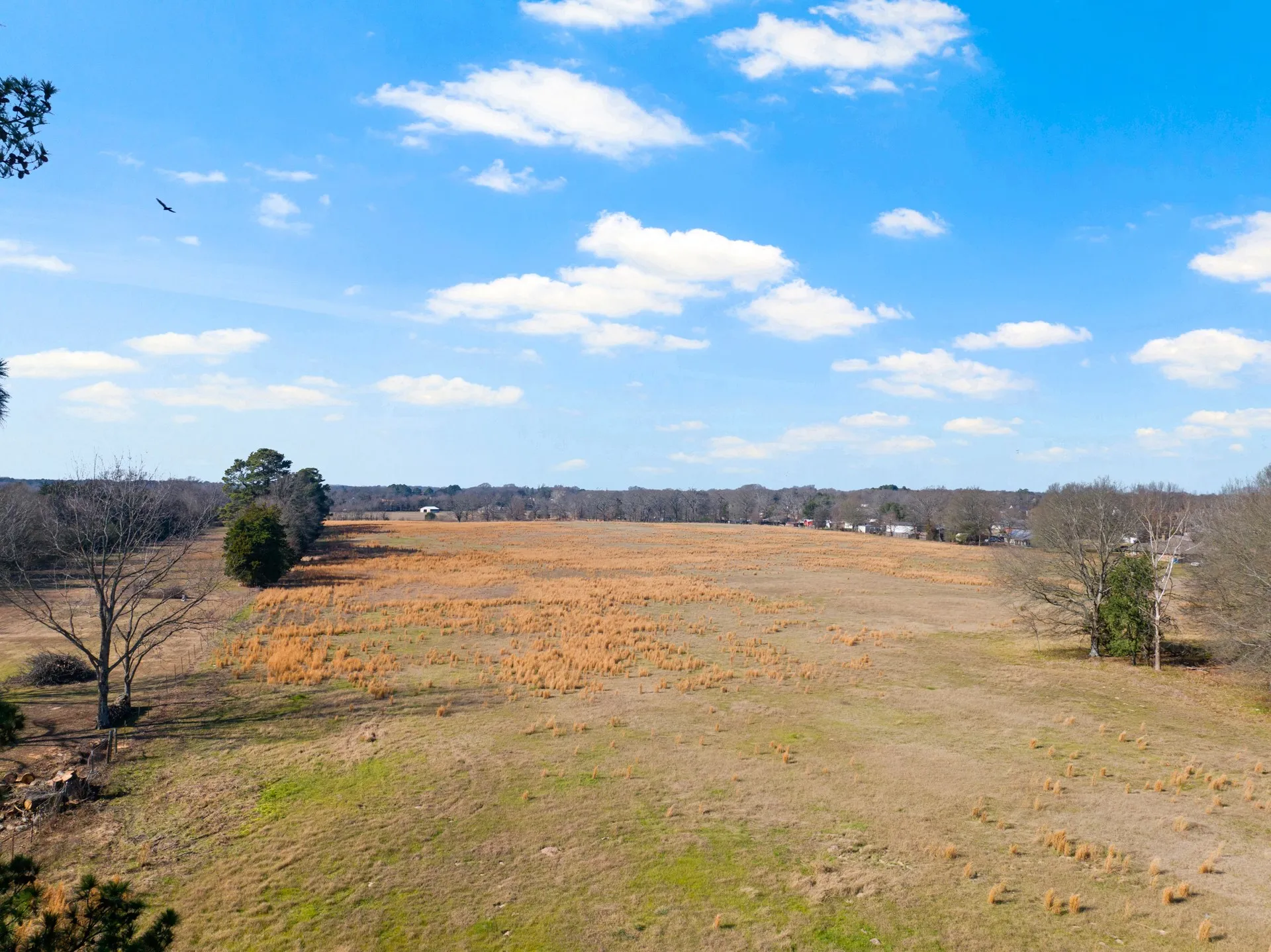 Unimproved Land For Sale in Titus County , TBD FM 1402 and Nevills Rd, Mt Pleasant, Texas 75455, 0, 0, Garage spaces, 0 Sqft, built in 0, Price $699,000, mls#21152545, Real Estate Agent in Mt Pleasant, Homes For Sale in Titus county, Homes For Sale in Mt Pleasant, Realtor in Mt Pleasant Texas, Real Estate Brokerage Independent Realty Texas, Luminita Cordes Realtor