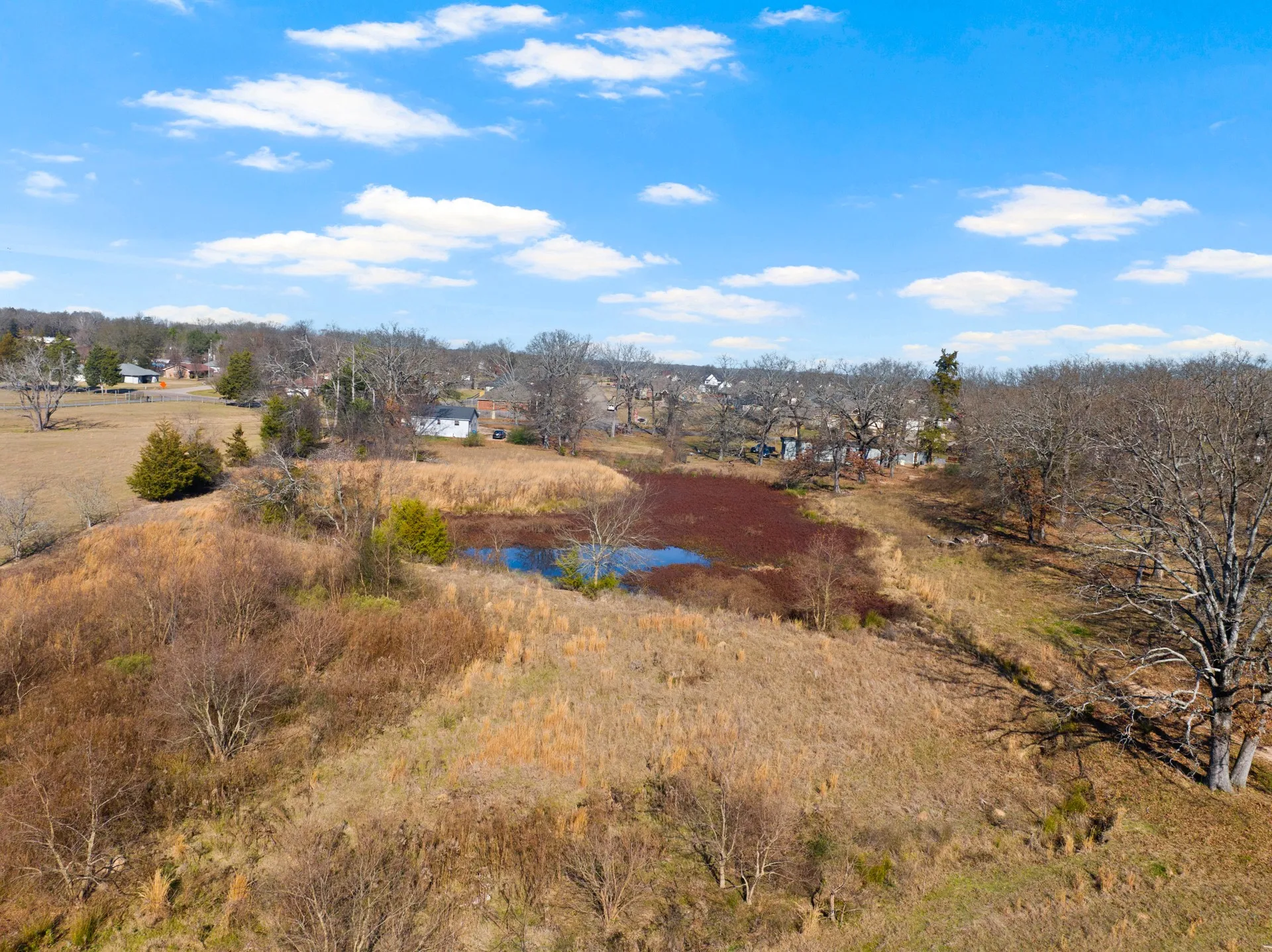 Unimproved Land For Sale in Titus County , TBD FM 1402 and Nevills Rd, Mt Pleasant, Texas 75455, 0, 0, Garage spaces, 0 Sqft, built in 0, Price $699,000, mls#21152545, Real Estate Agent in Mt Pleasant, Homes For Sale in Titus county, Homes For Sale in Mt Pleasant, Realtor in Mt Pleasant Texas, Real Estate Brokerage Independent Realty Texas, Luminita Cordes Realtor